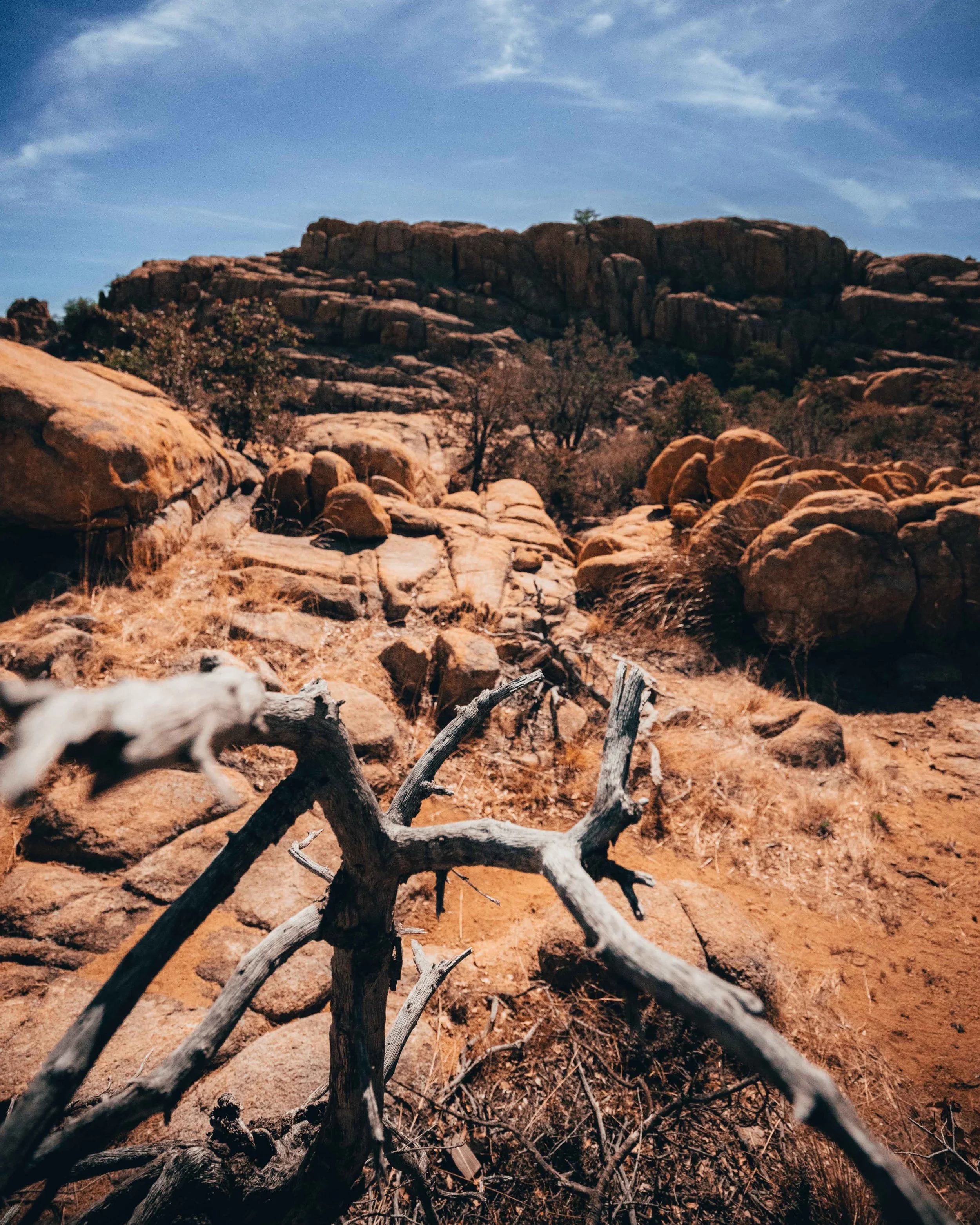 Watson Lake Option-2.jpg