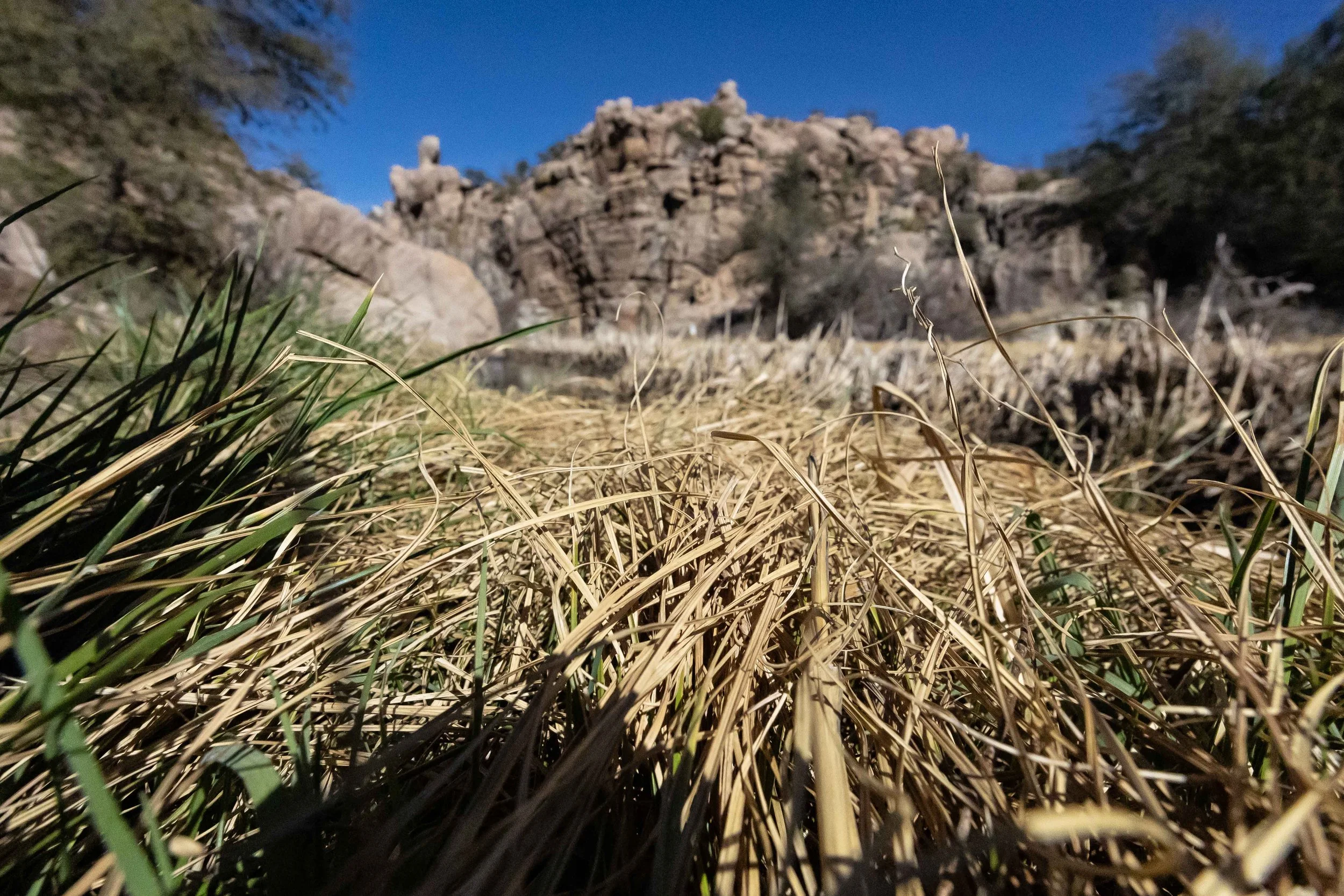 Watson Lake Option-3.jpg