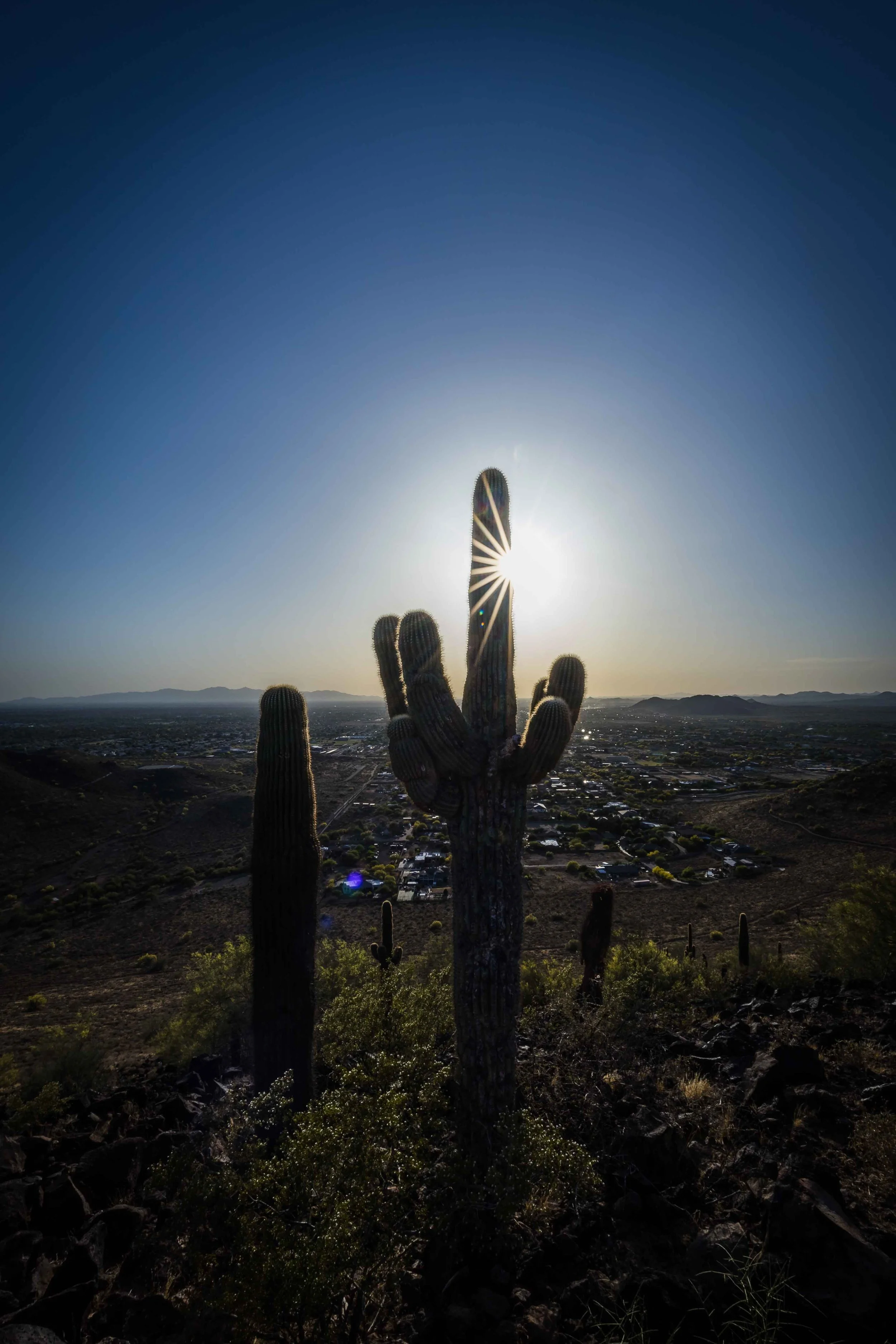 Thunderbird Mountain-2.jpg
