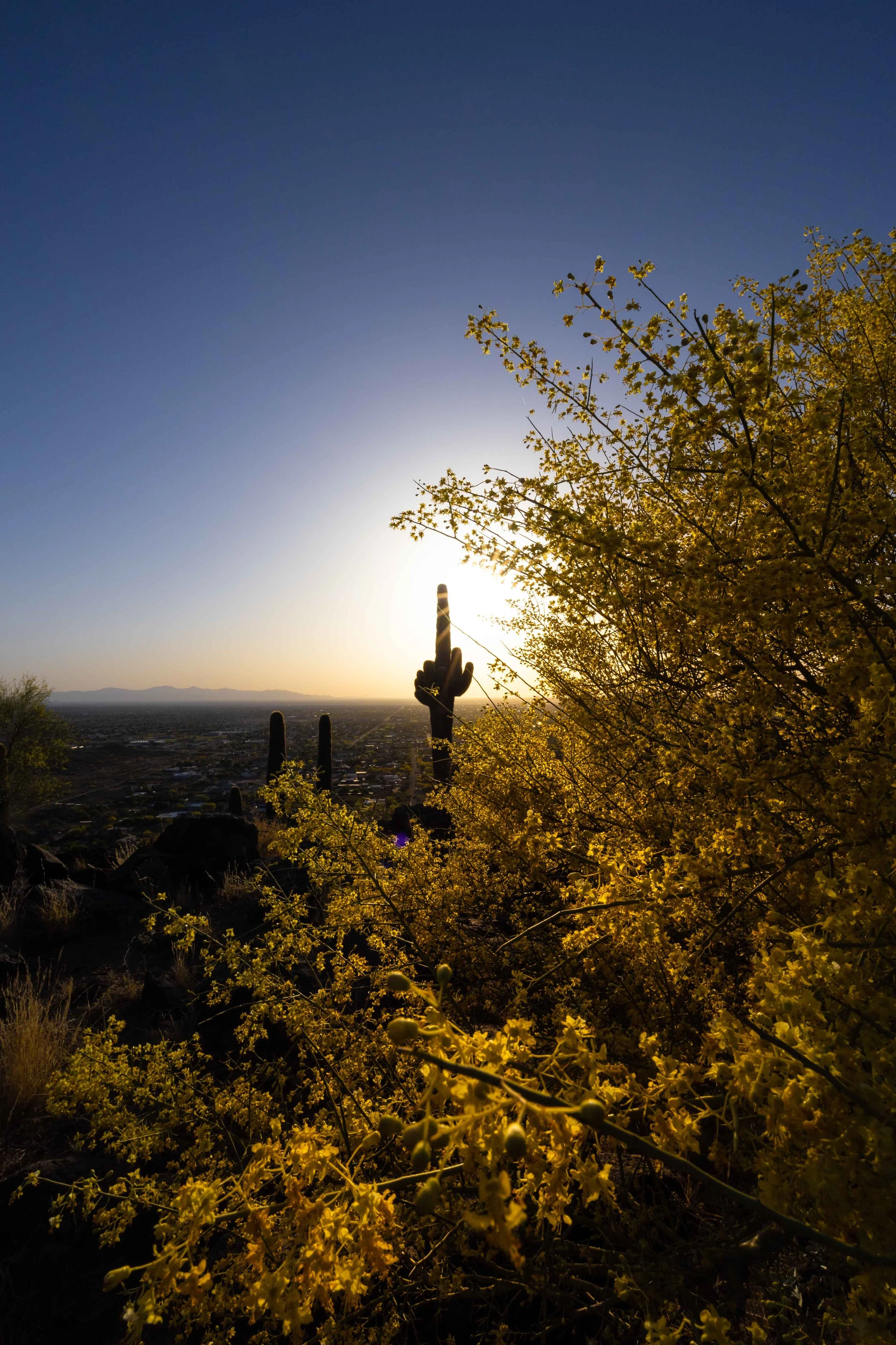 Thunderbird Mountain-5.jpg