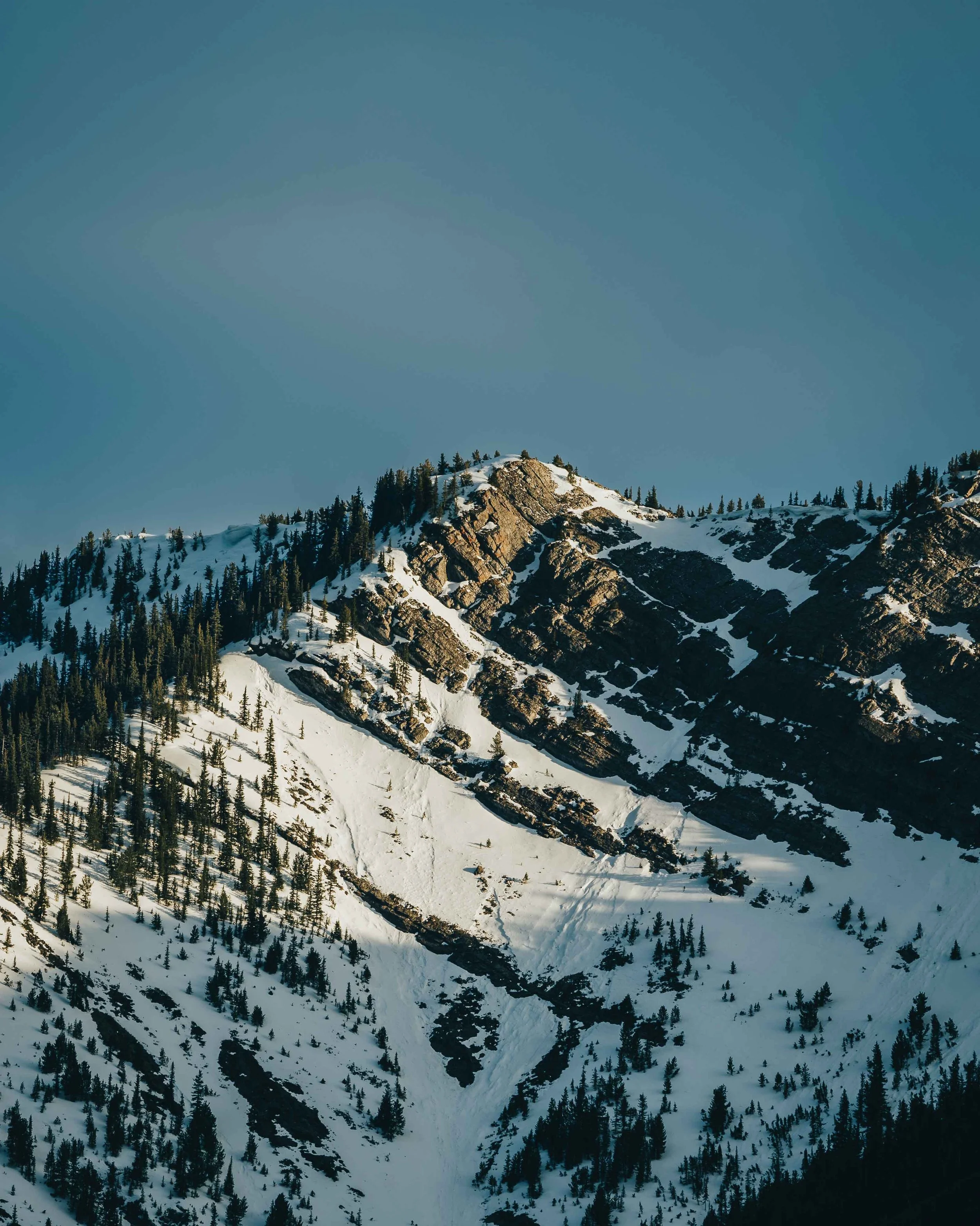 The Mountains Distant