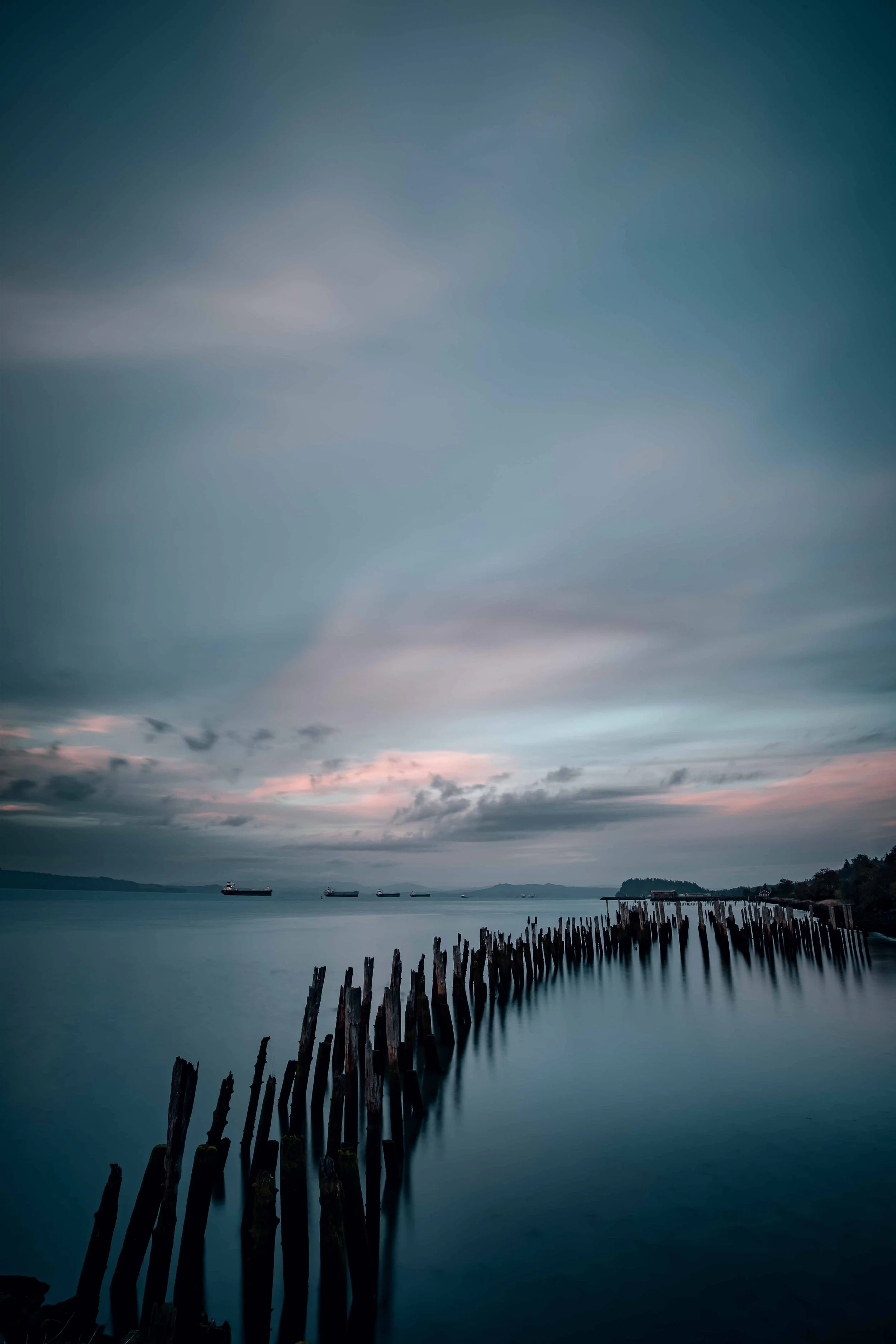 River Pilings