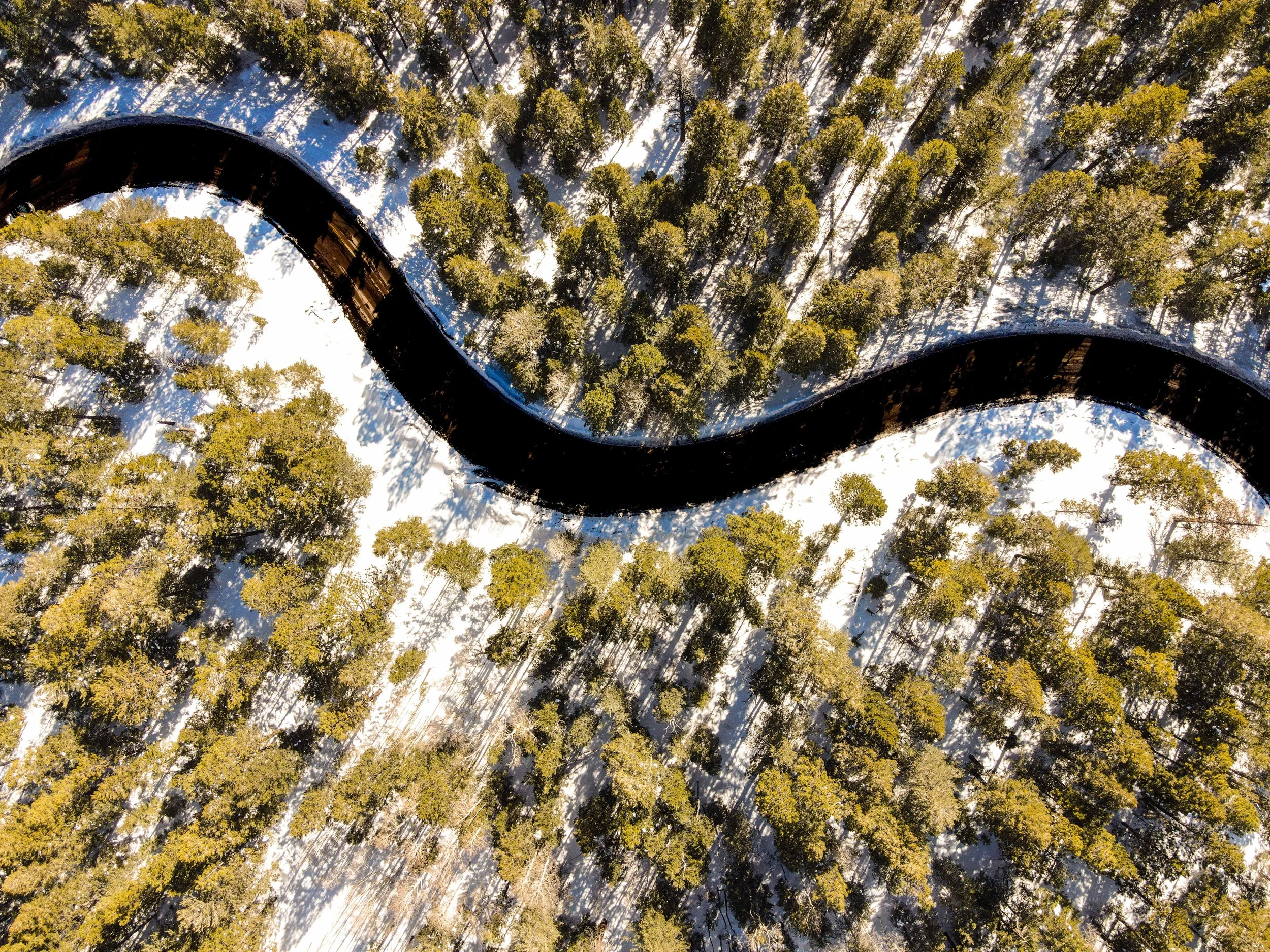 Serpentine