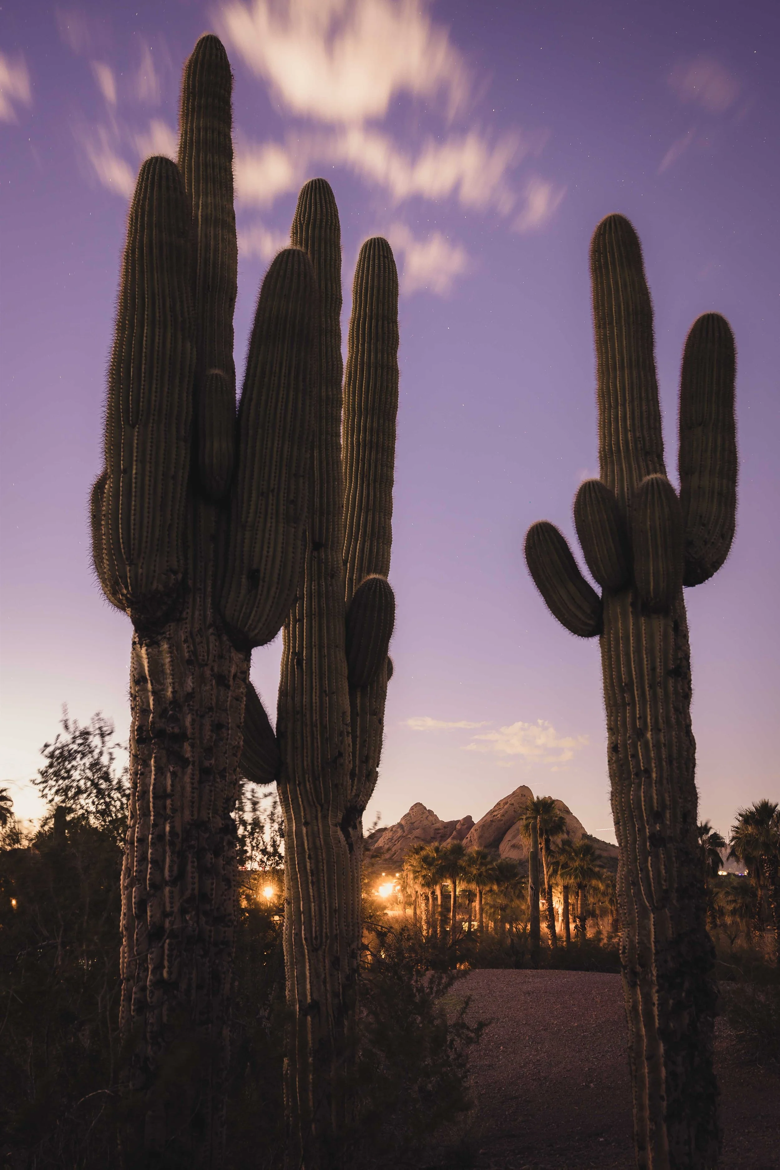 PotentialM1Papago1A8A7793.jpg