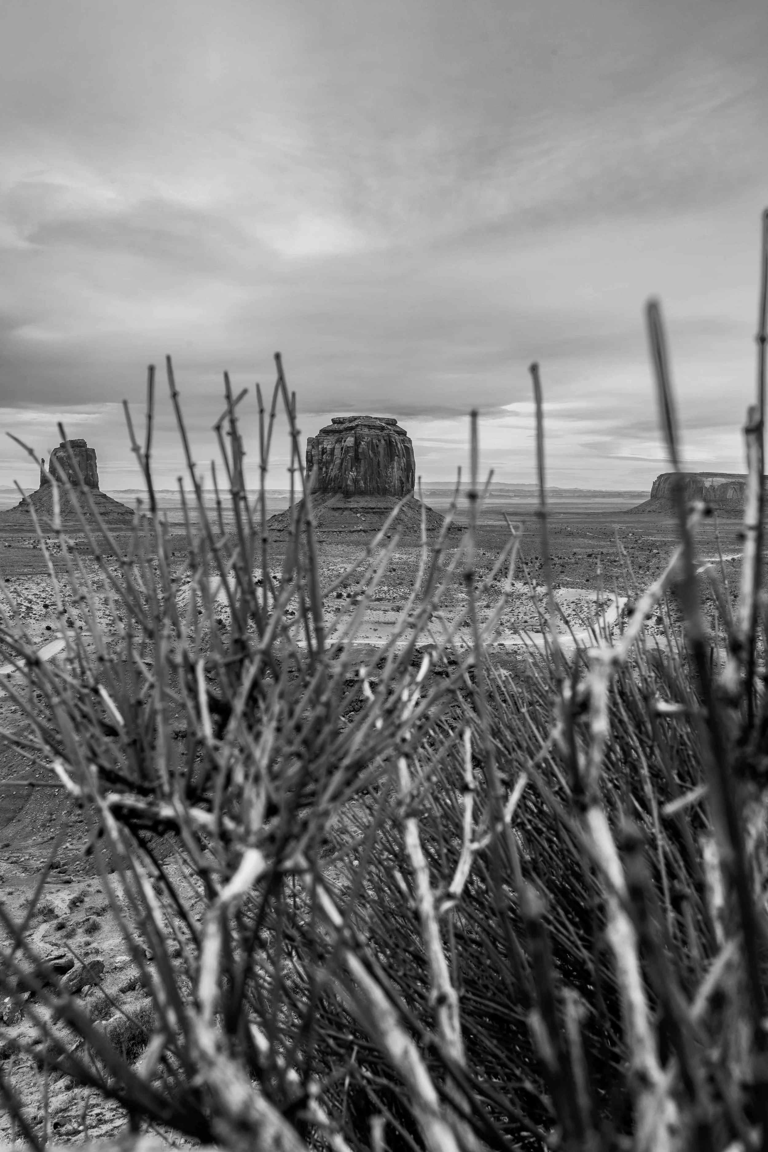 potential NAZTrip-4.jpg