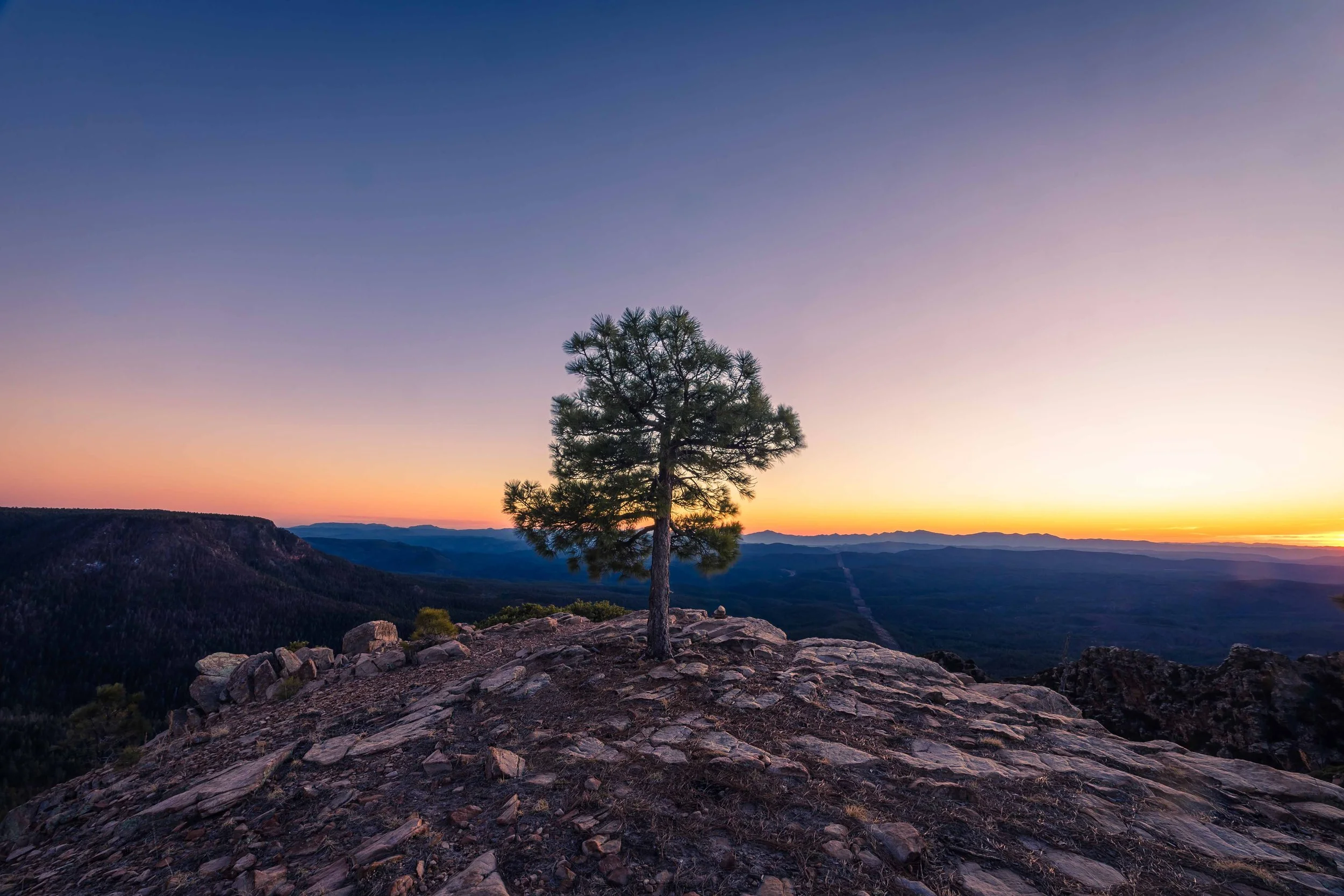 potential NAZTrip-3.jpg