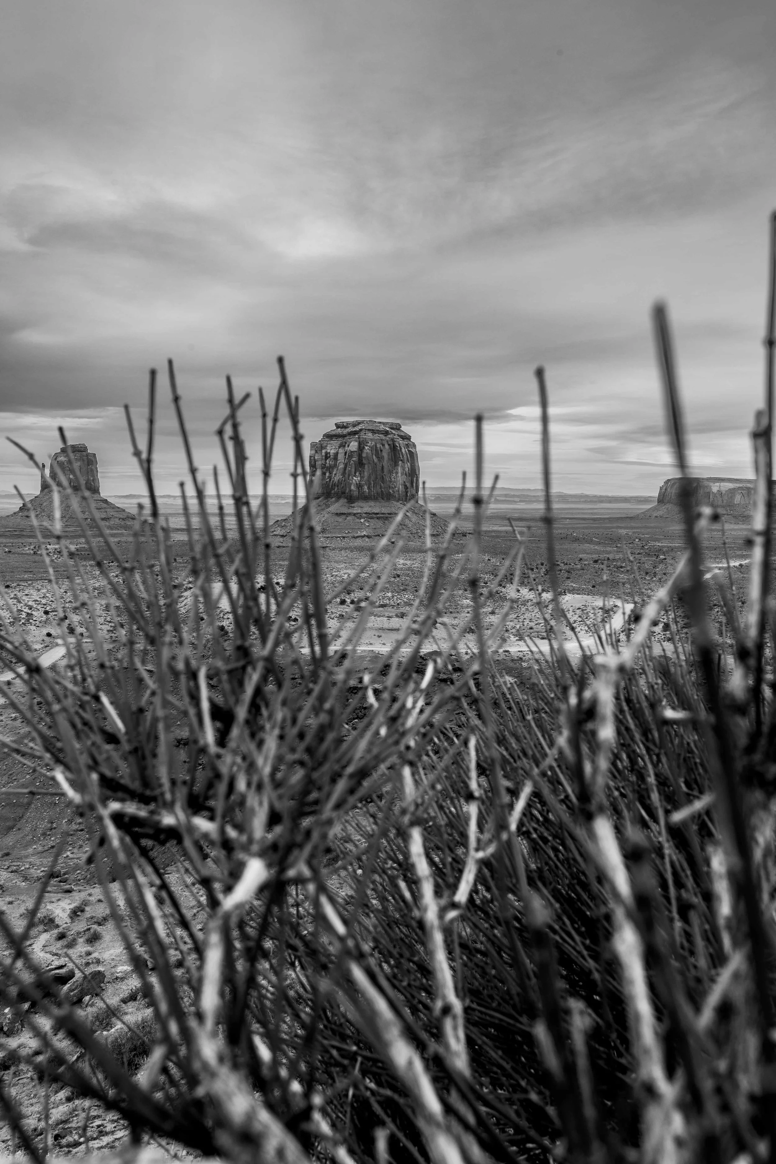 Merrick Buttepotentialup.jpg