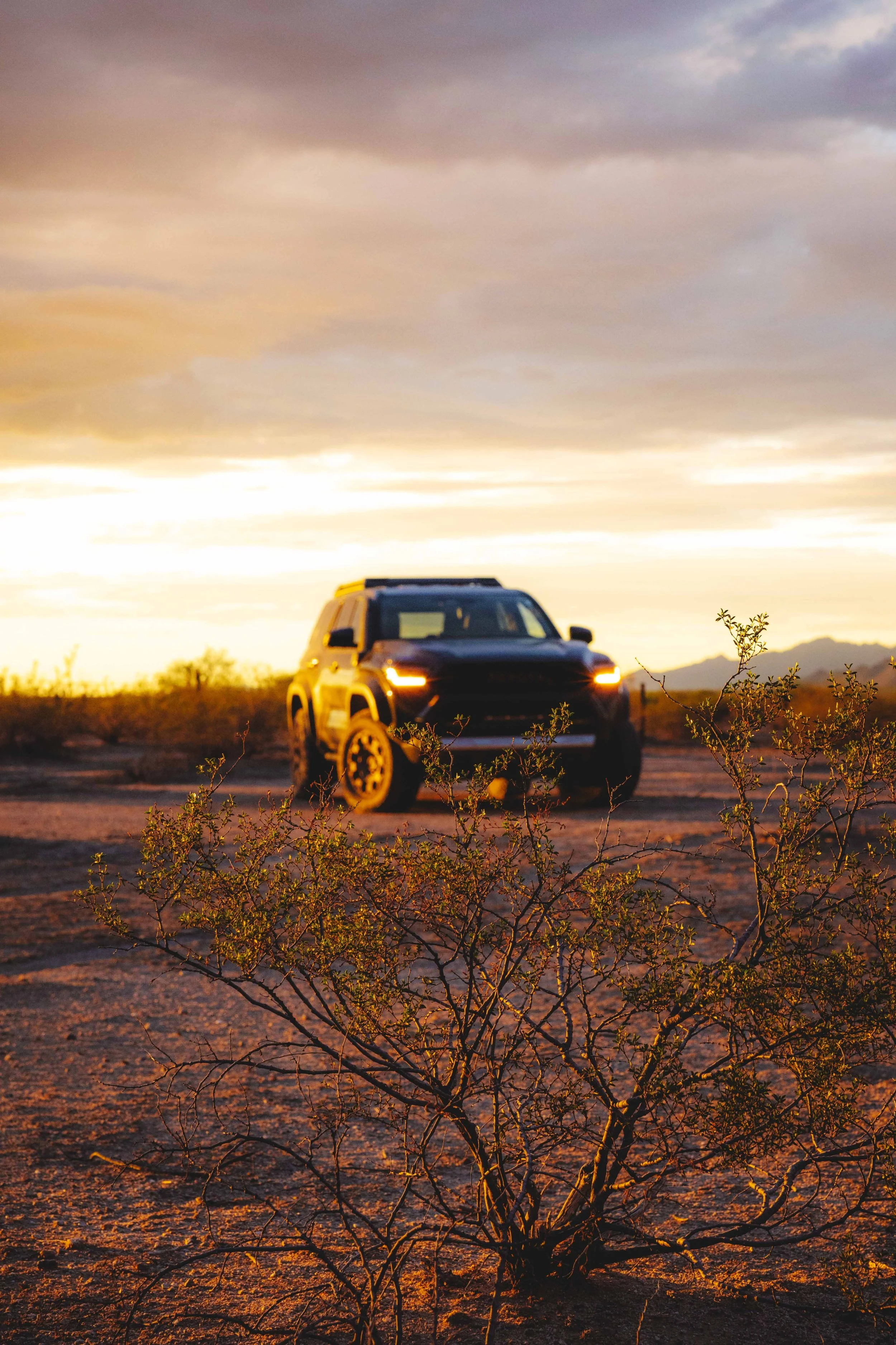 TrailHunterTOTWMaricopa2.jpg