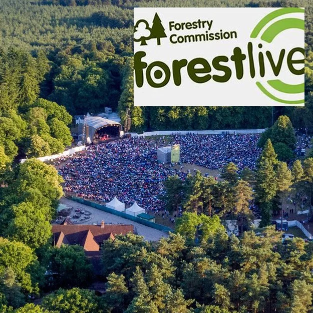 Forest Live (merge attempt 4).jpg