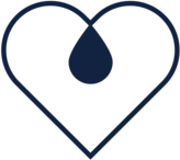 image-asset.png