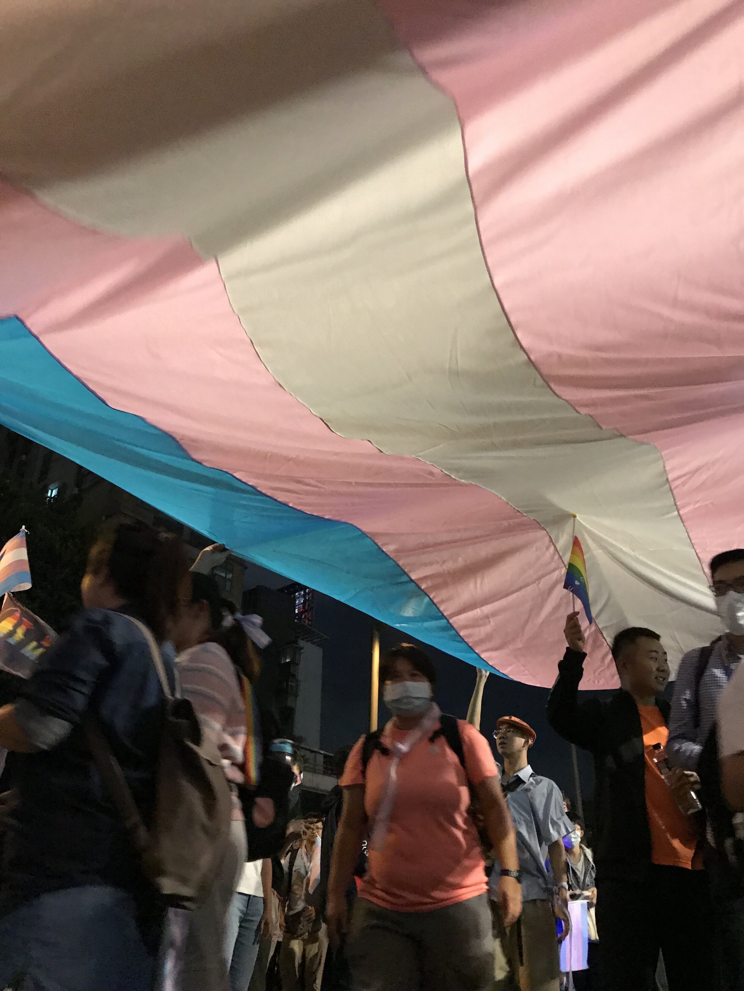 Trans Pride March (10/30/20)