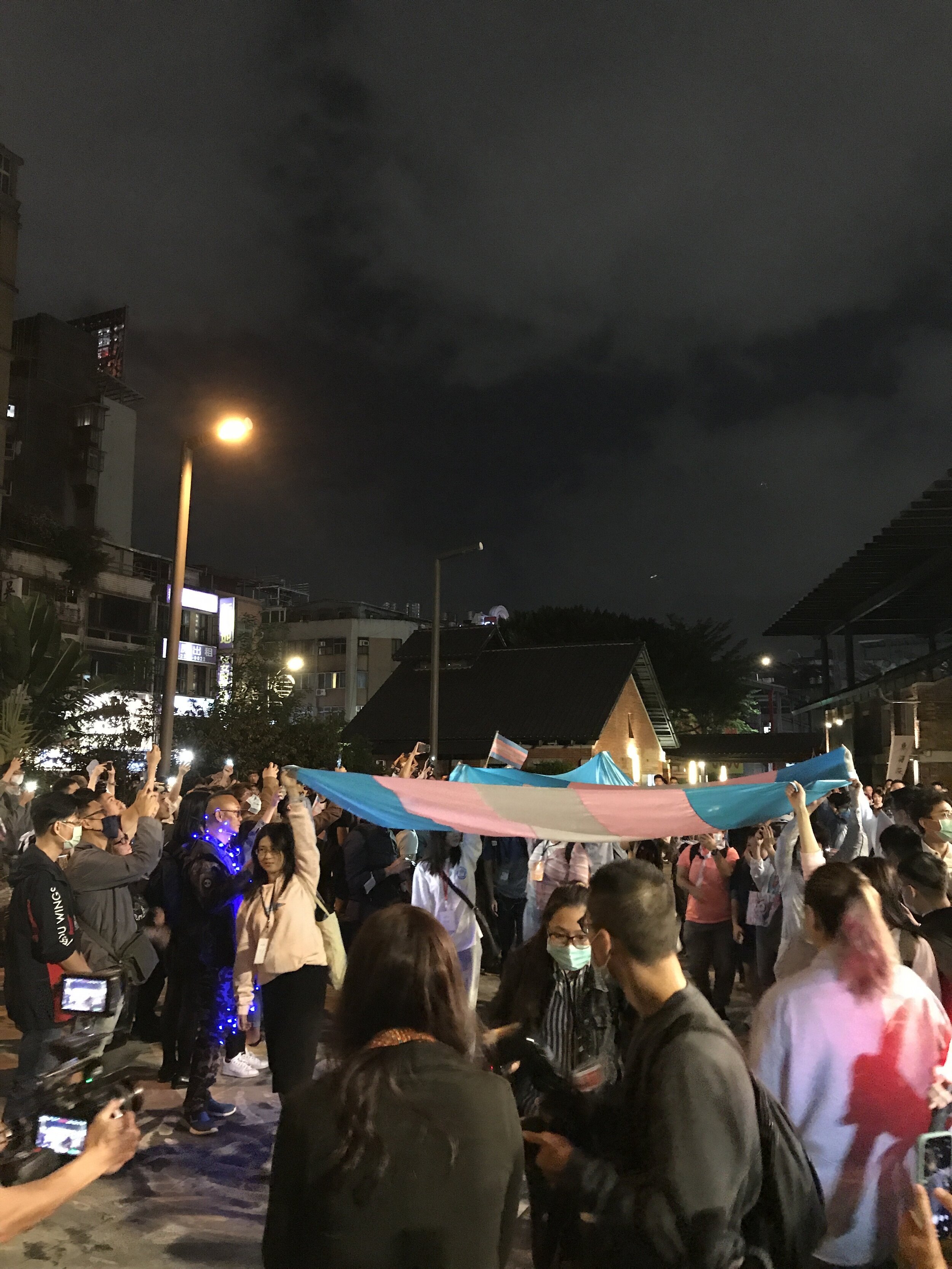Trans Pride March (10/30/20)