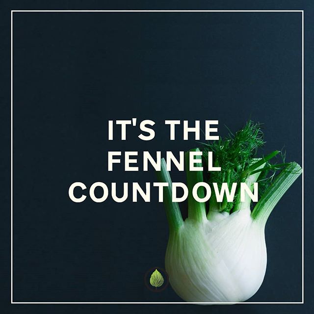 Only 7 weeks left to keep on doing what you're already doing because time is made up and nothing really matters. 🌠

#inspirational #2020hereicome #ihavenoideawhatimdoing  #thefinalcountdown #butwhatarewecountingdowntoreally #nothingreallymatters #is