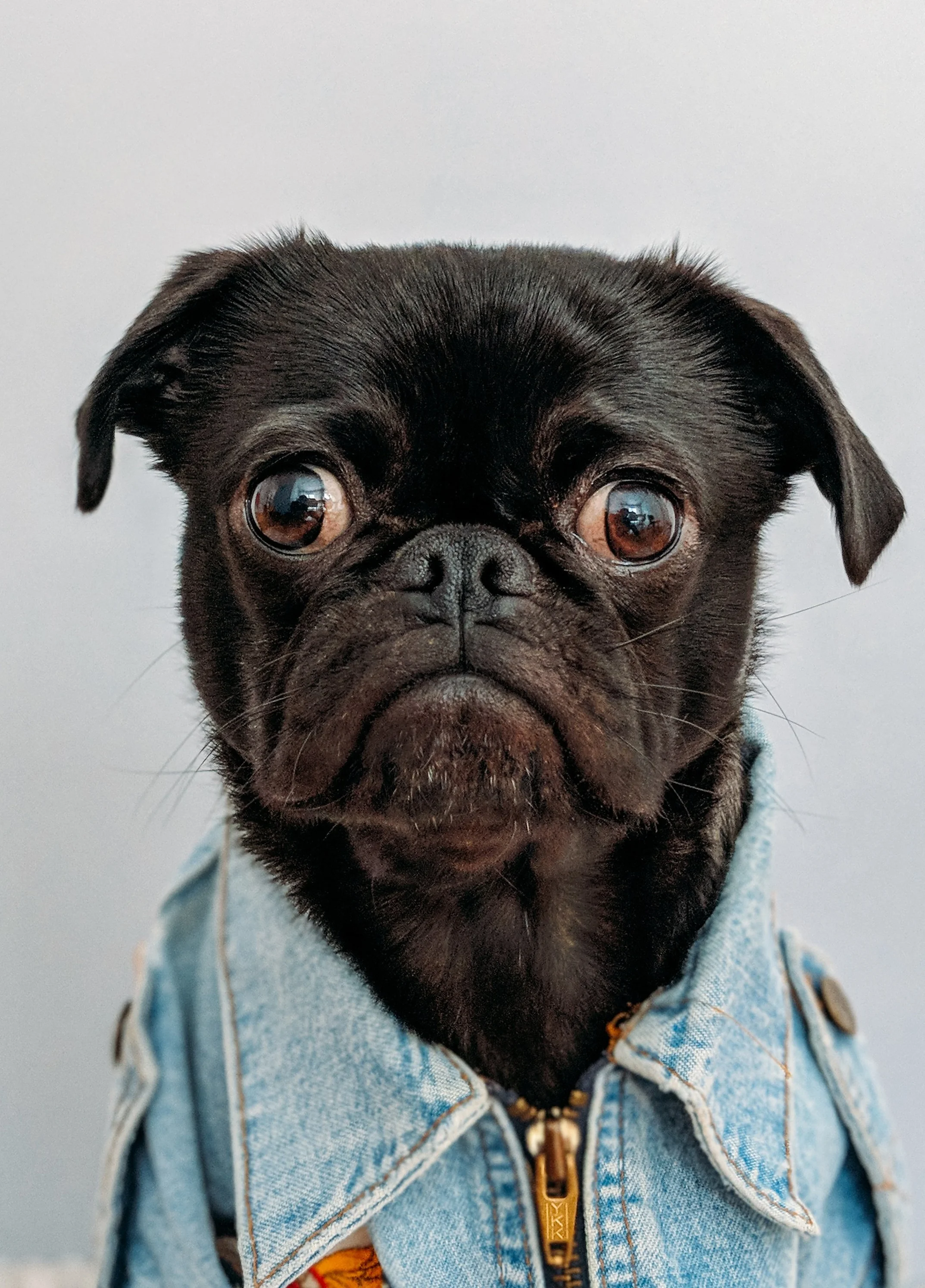 Post-property downturn building