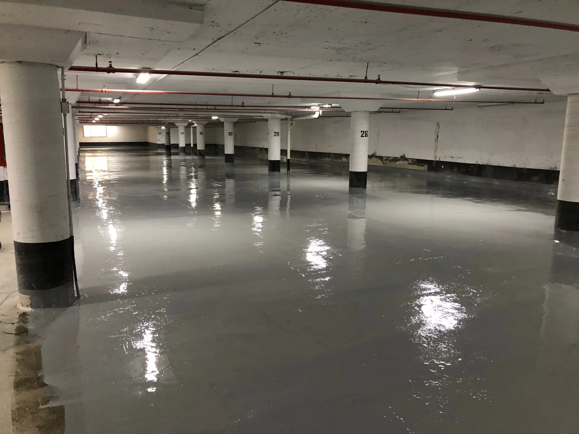 1. fresh membrane installation (2).jpg