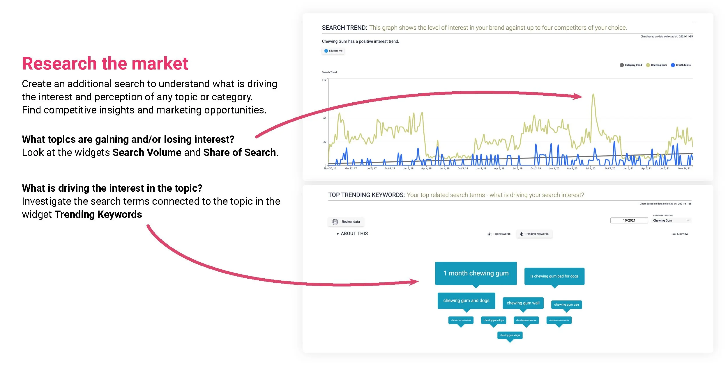 Research the market with share of search analytics.jpg