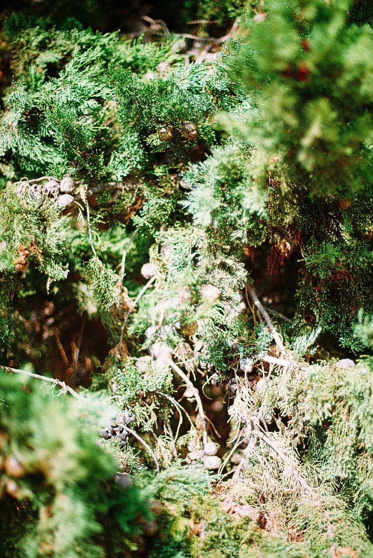 CNV00101.jpg