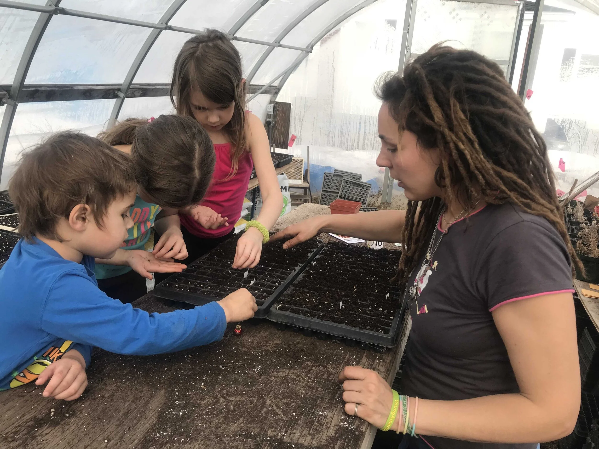 Fruits et légumes 2021 : Les pousses intérieures