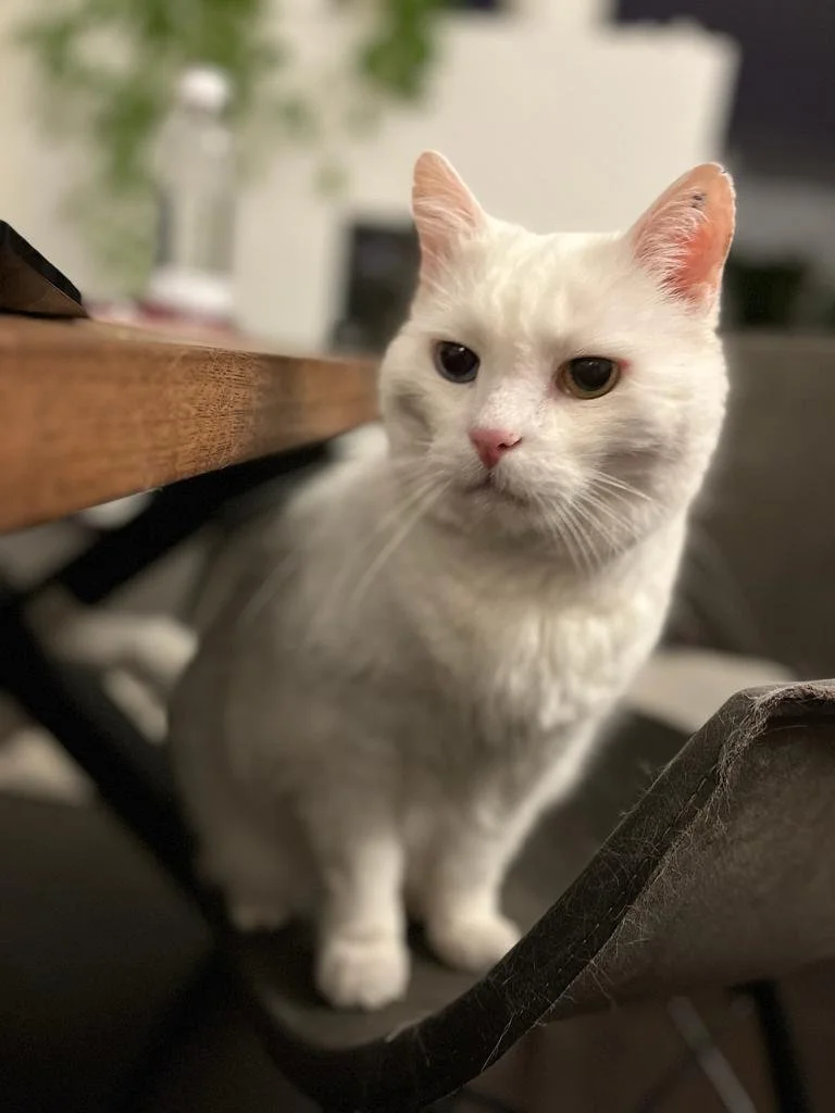 Majatalon Henkilökunnasta.