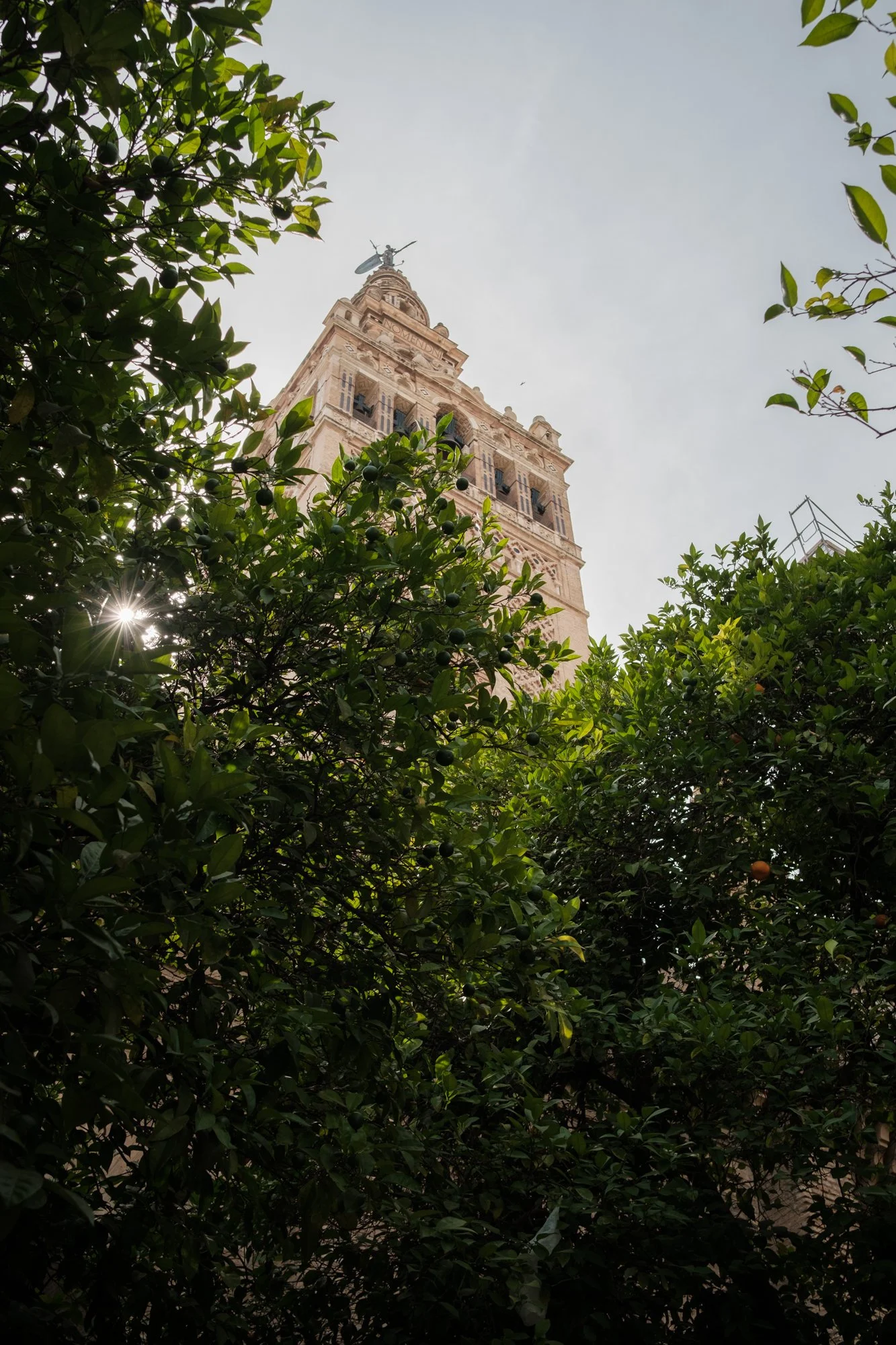 DSCF2875.jpg