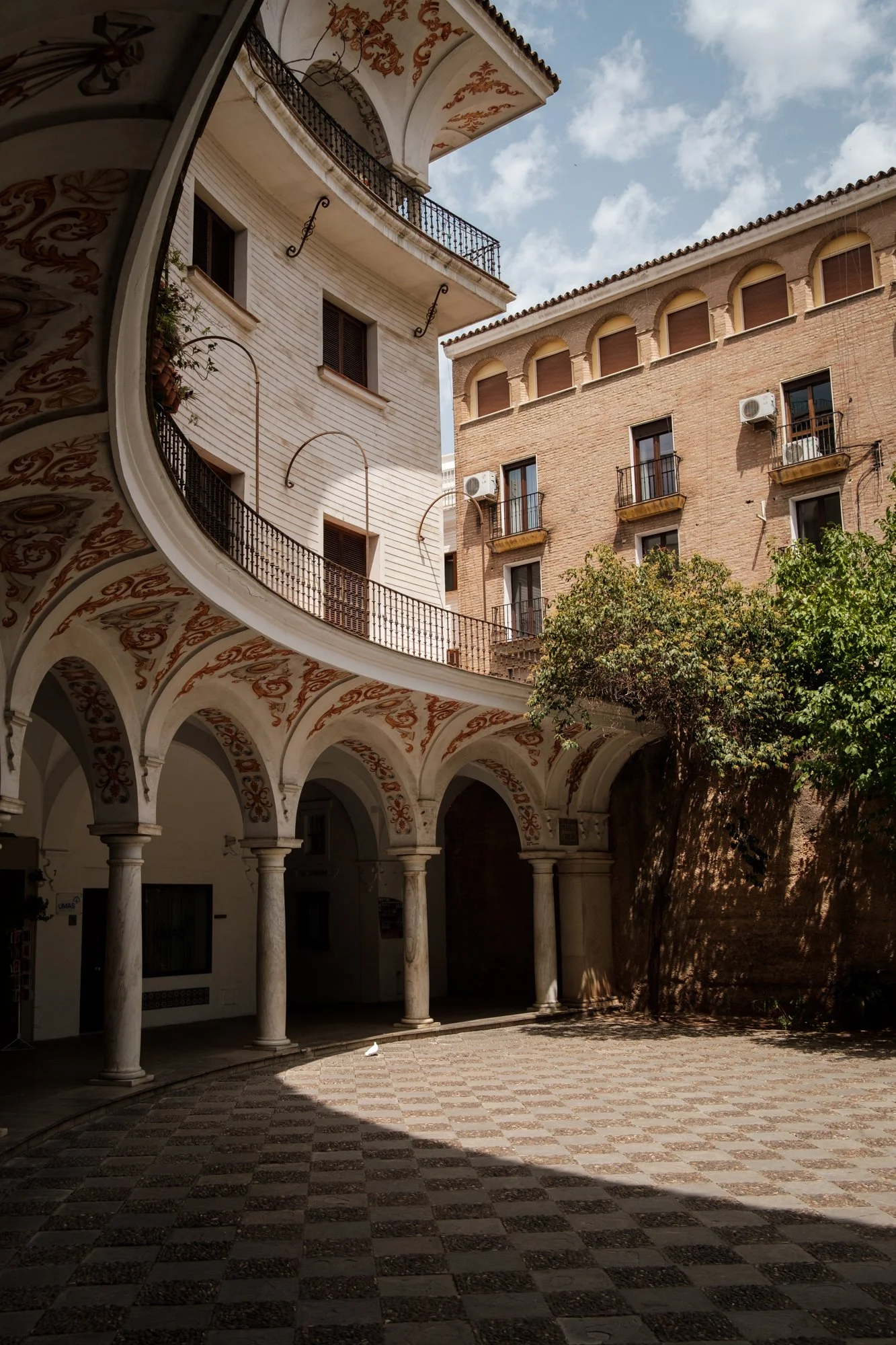 DSCF2778.jpg