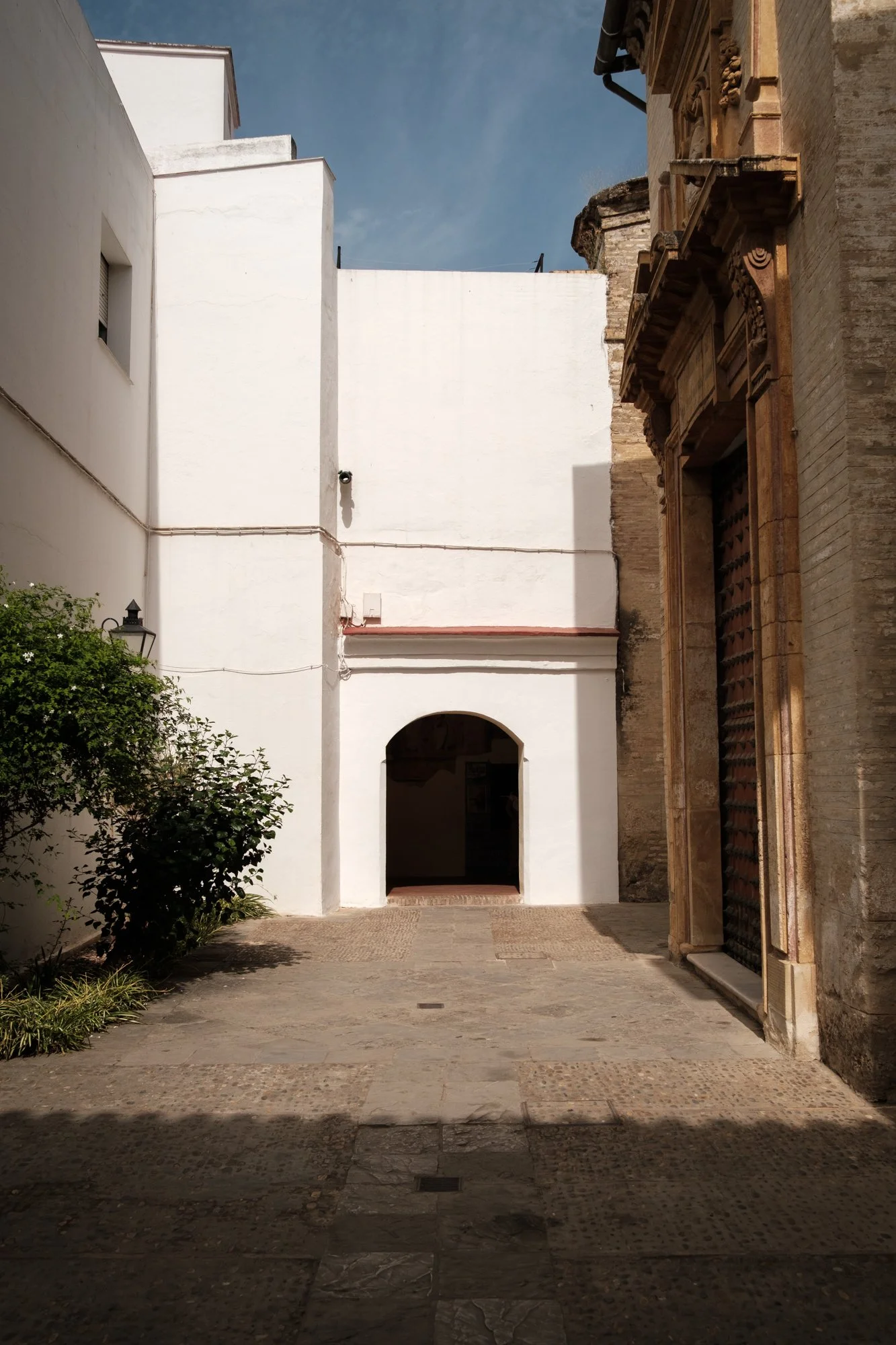 DSCF2991.jpg