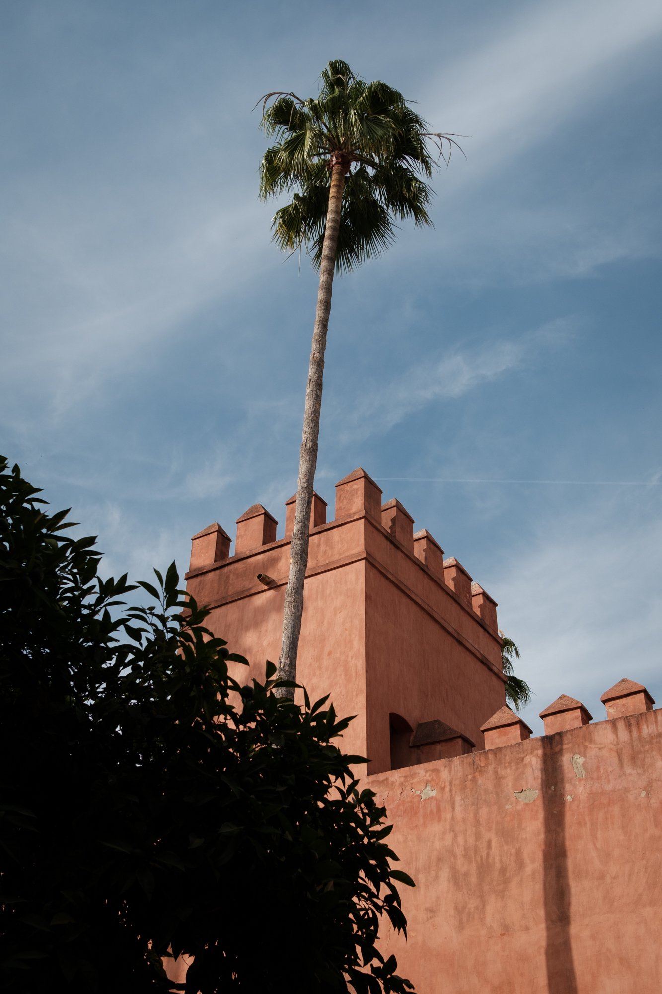 DSCF2844.jpg