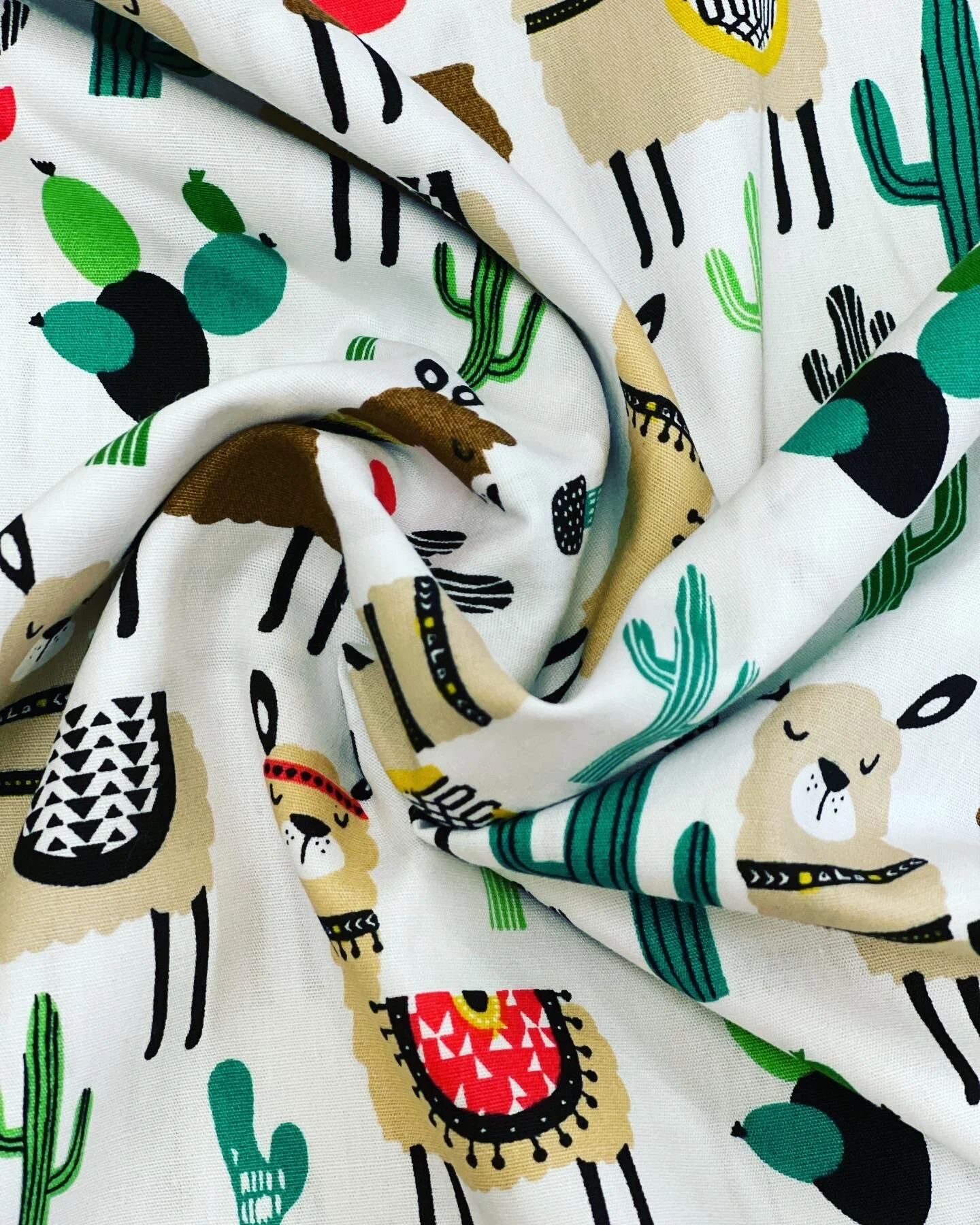 C77DB77B-6B13-4BEB-8A56-F46F24994E7F