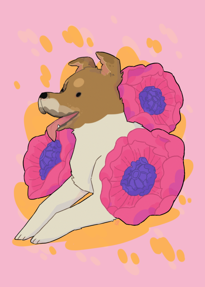 Poppy Media Sized.png
