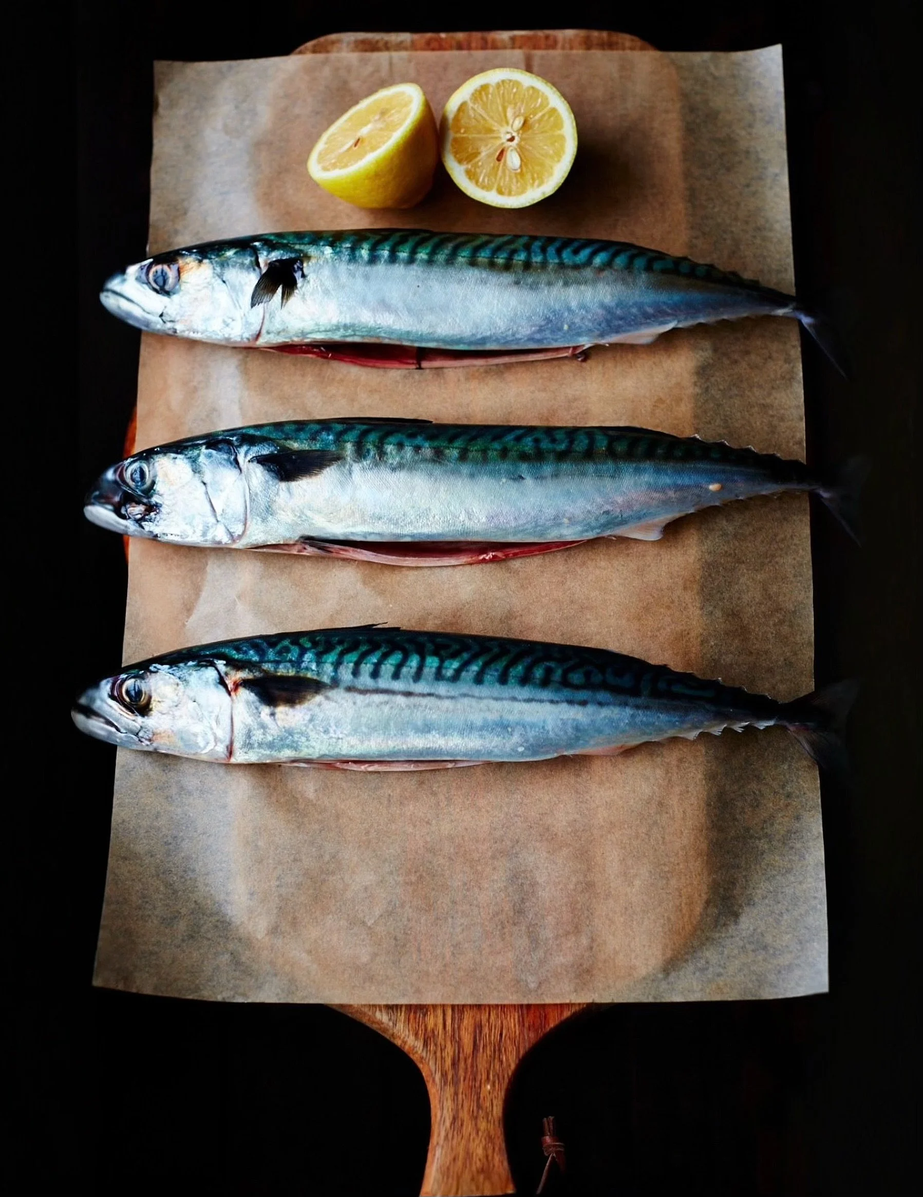 Really good fresh mackerel is so full of flavour &amp; simply hard to beat.
⠀⠀⠀⠀⠀⠀⠀⠀⠀
At Patron this week we serve it butterflied, lightly charred, then glazed with gooseberry mustard &amp; finished with lightly pickled fennel &amp; chervil

#londonr
