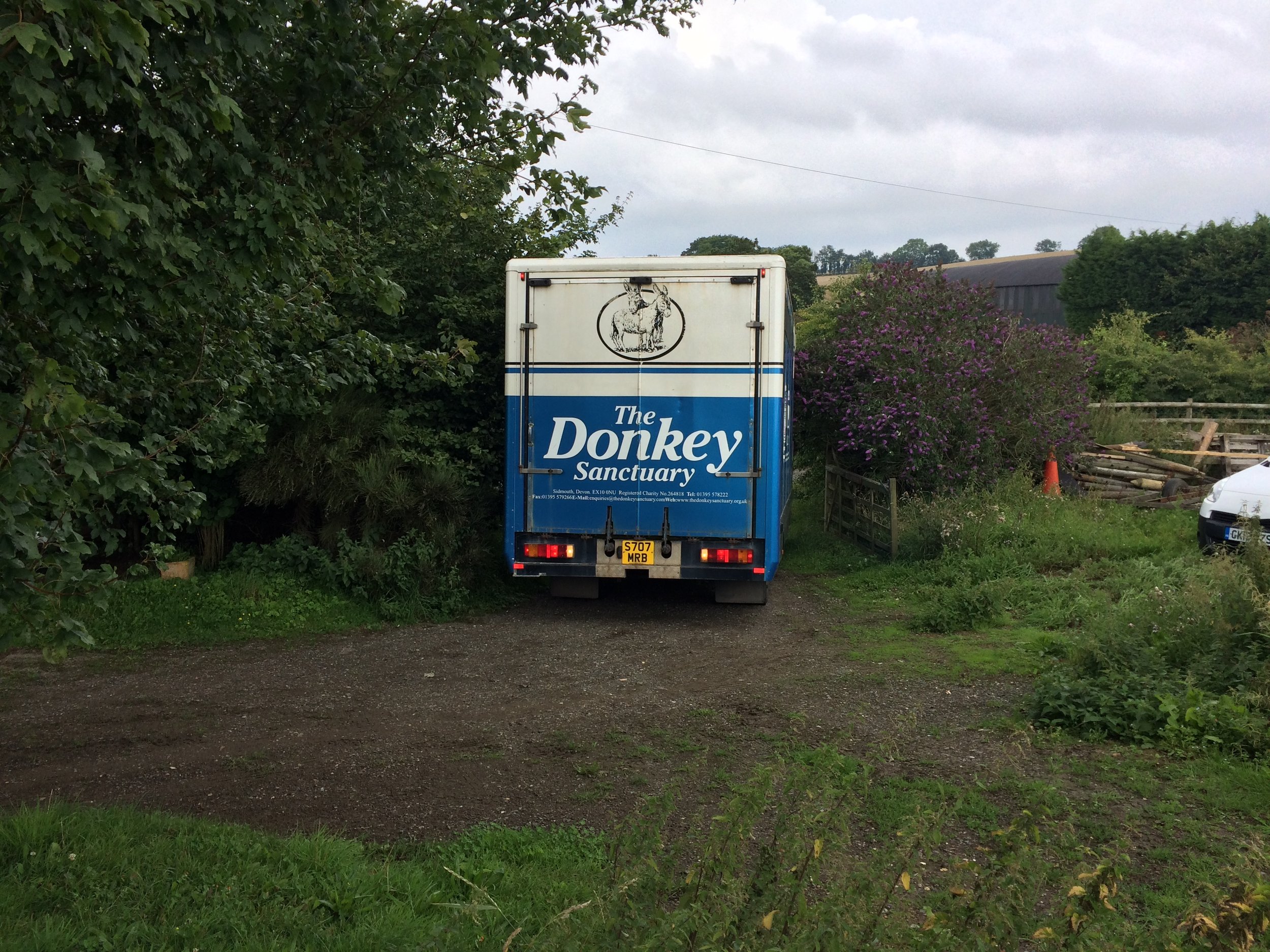 The donkeys arrive - August 2017