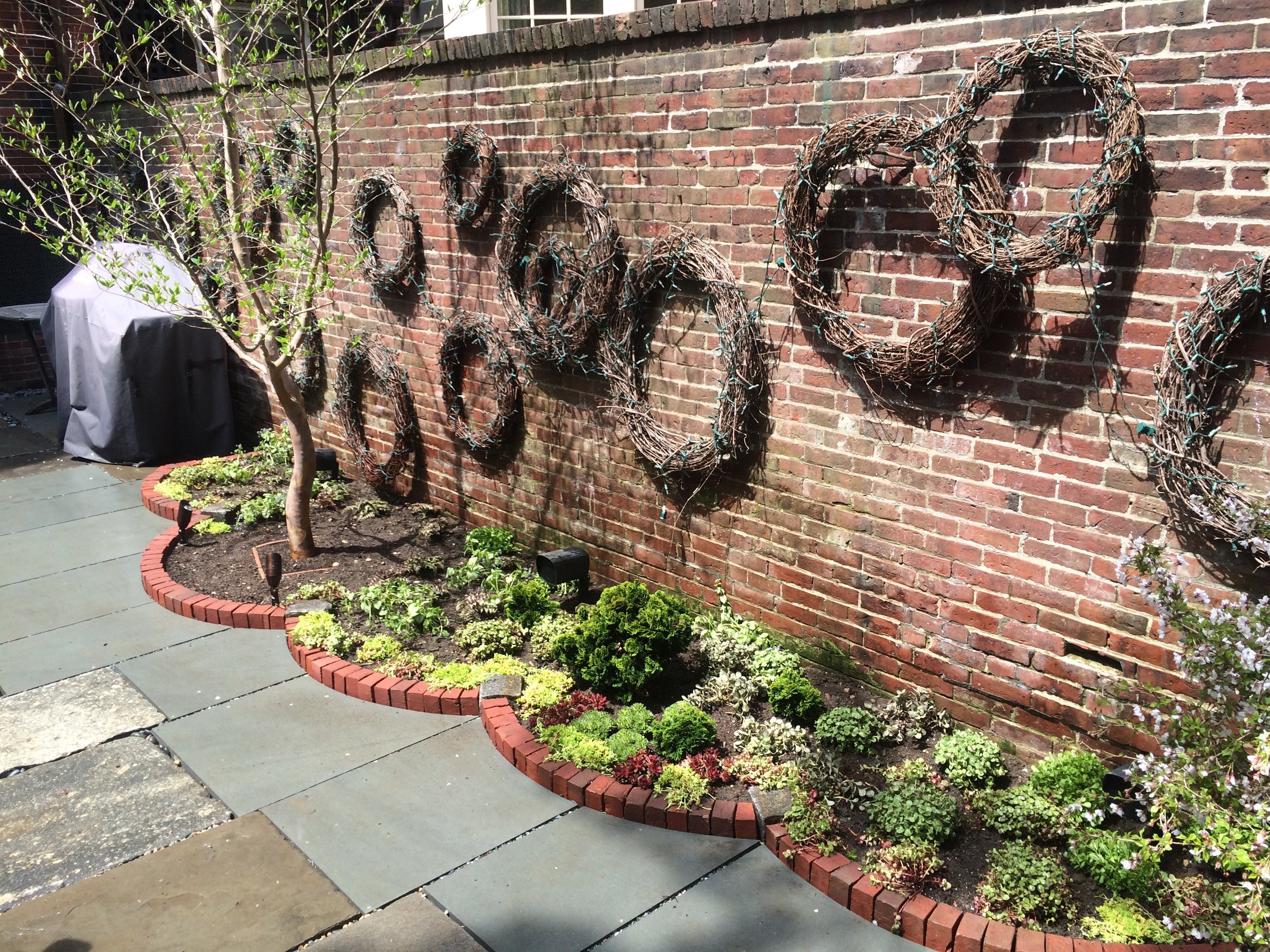   Beacon Hill  - Stewartia and Sedums. Stonework by Kevin Baker Stone 