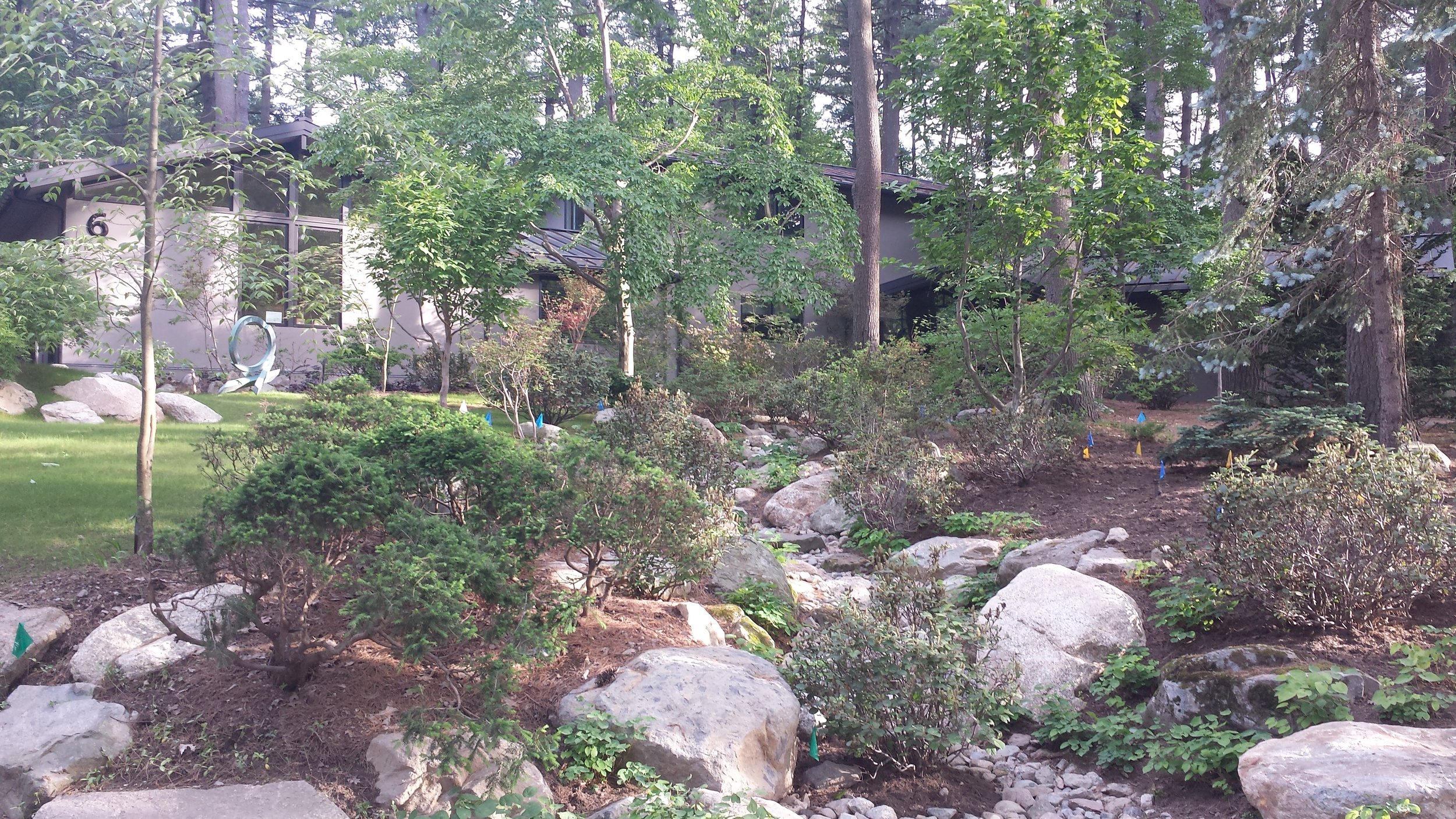  Weston MA - View from street. Dry river bed to deal with water run off. Mix of exotics and natives. Design by Hank Gilpin and BHS 