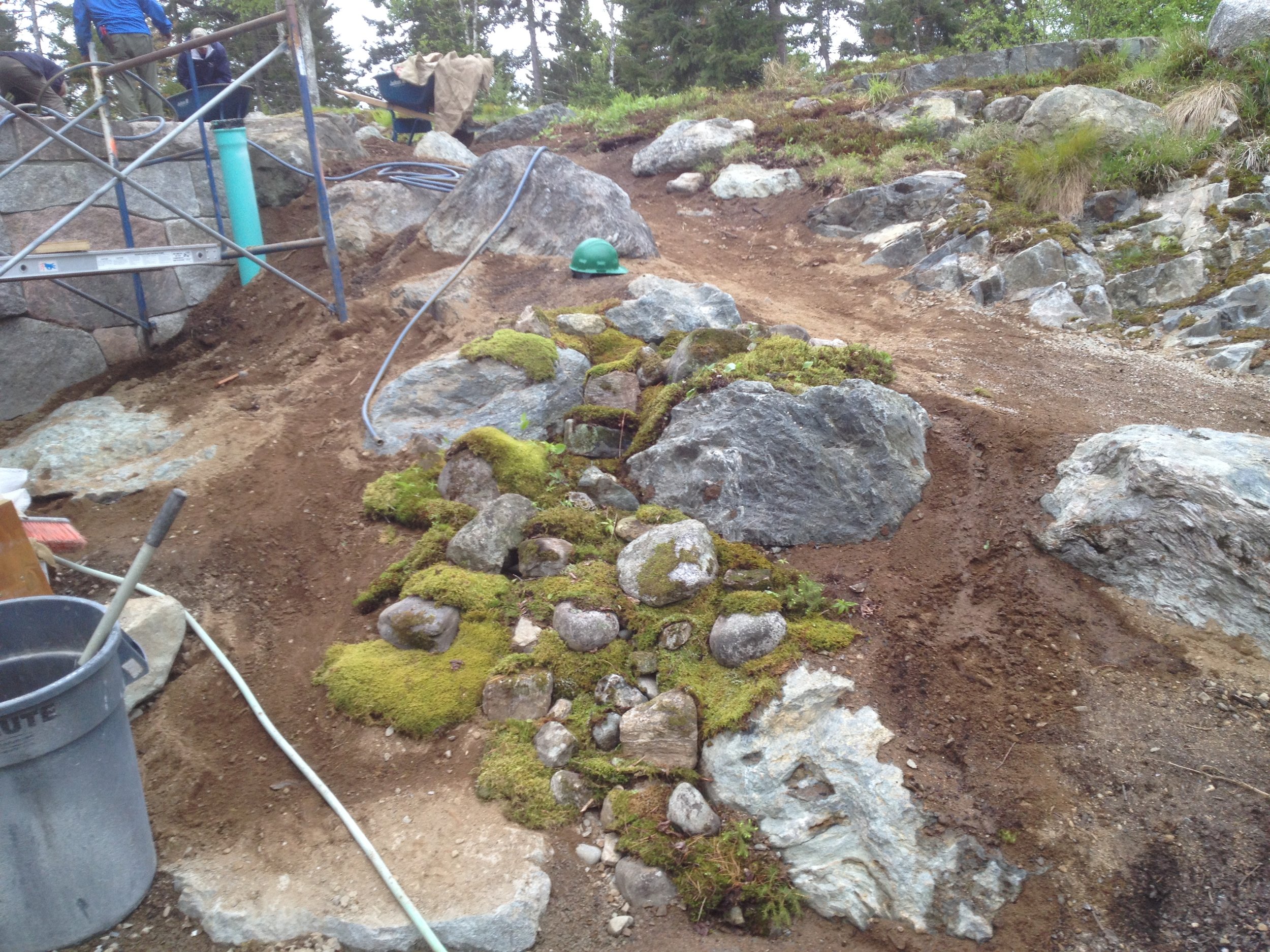   Southwest Harbor ME  - Progress picture of naturalization project. Spill way to deal with rain ruin off. Stone and moss locally sourced.  
