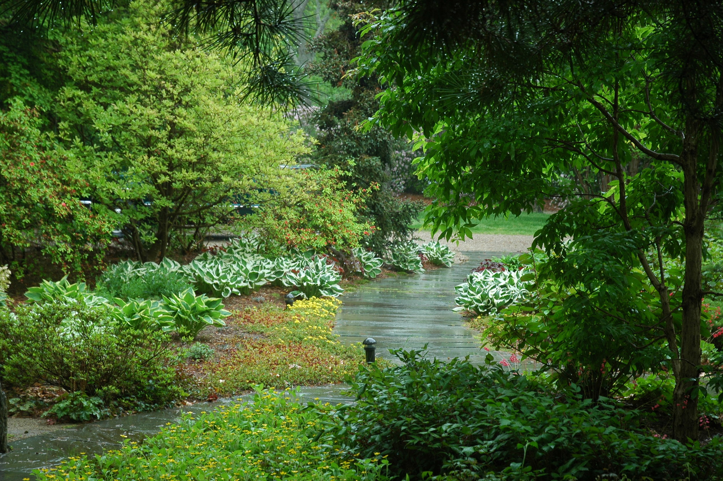 FRONT ENTRY GARDEN.JPG