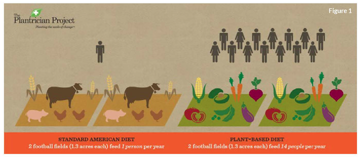 27(b) The Bigger Picture-PBD and the Environment.png