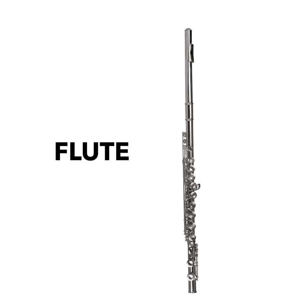 Spotlight on Instruments — Mid-Atlantic Symphony Orchestra