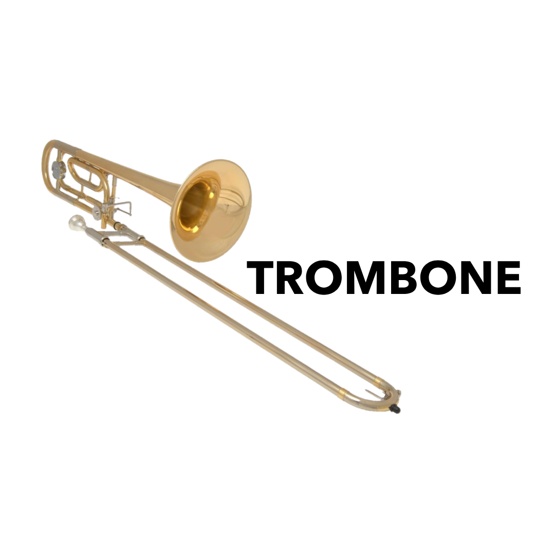 Spotlight on Instruments — Mid-Atlantic Symphony Orchestra