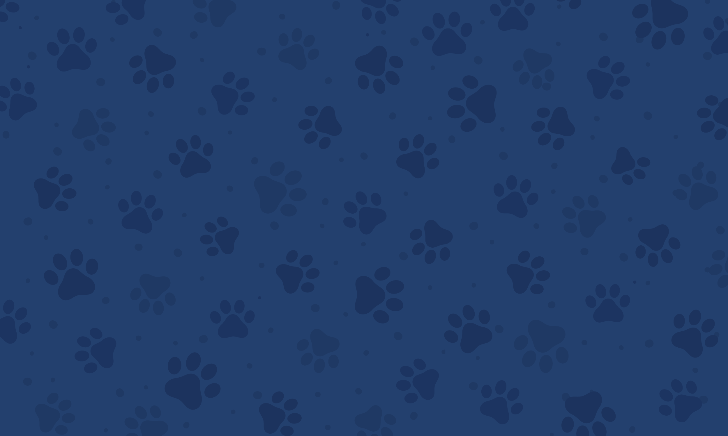 paws_banner.png