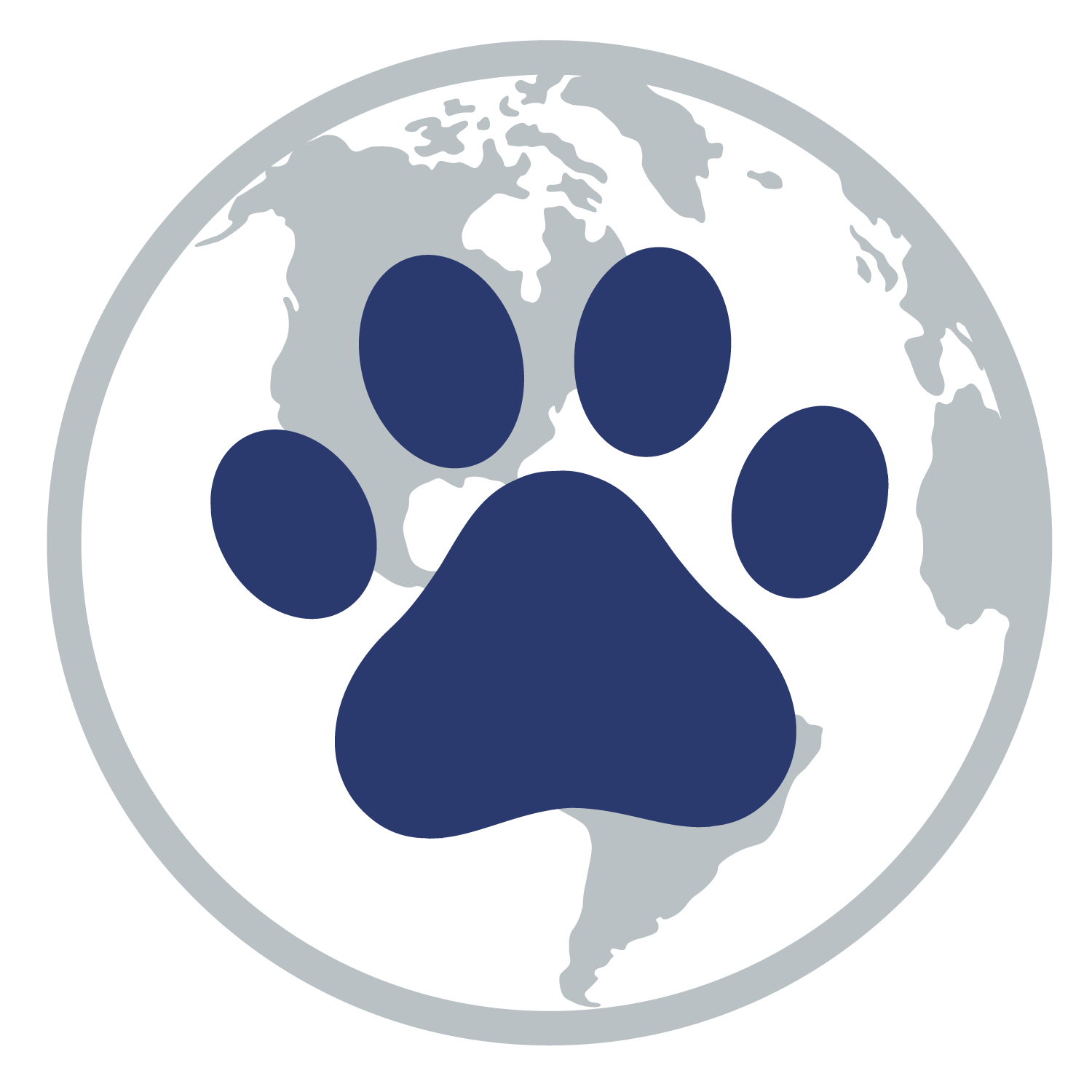Cranial Mediastinal Thymoma Feline — VSSO