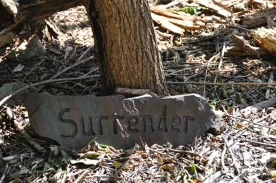 surrender1.JPG