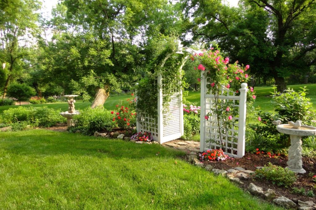 garden4.jpg