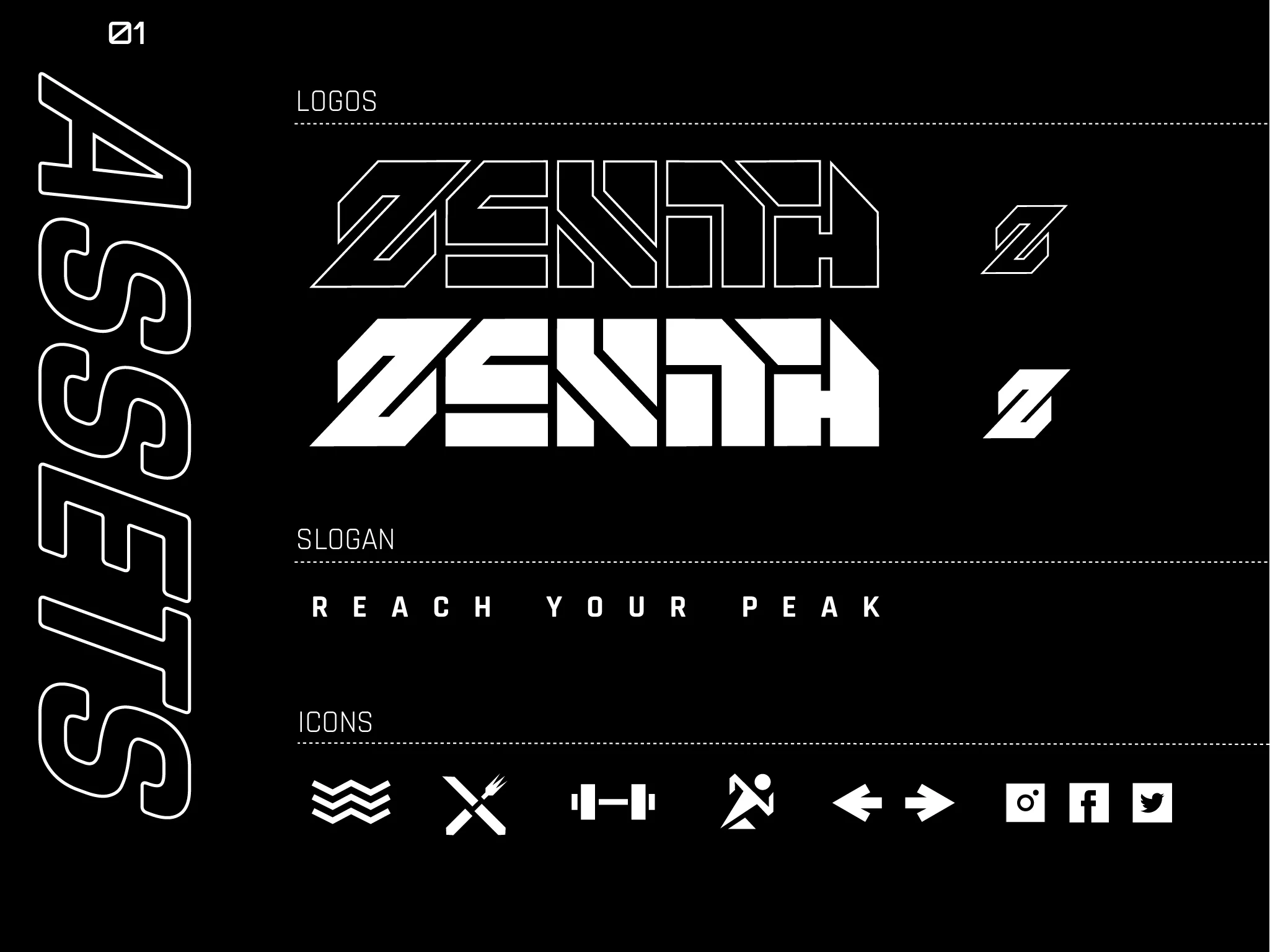 Assets_zenith.jpg