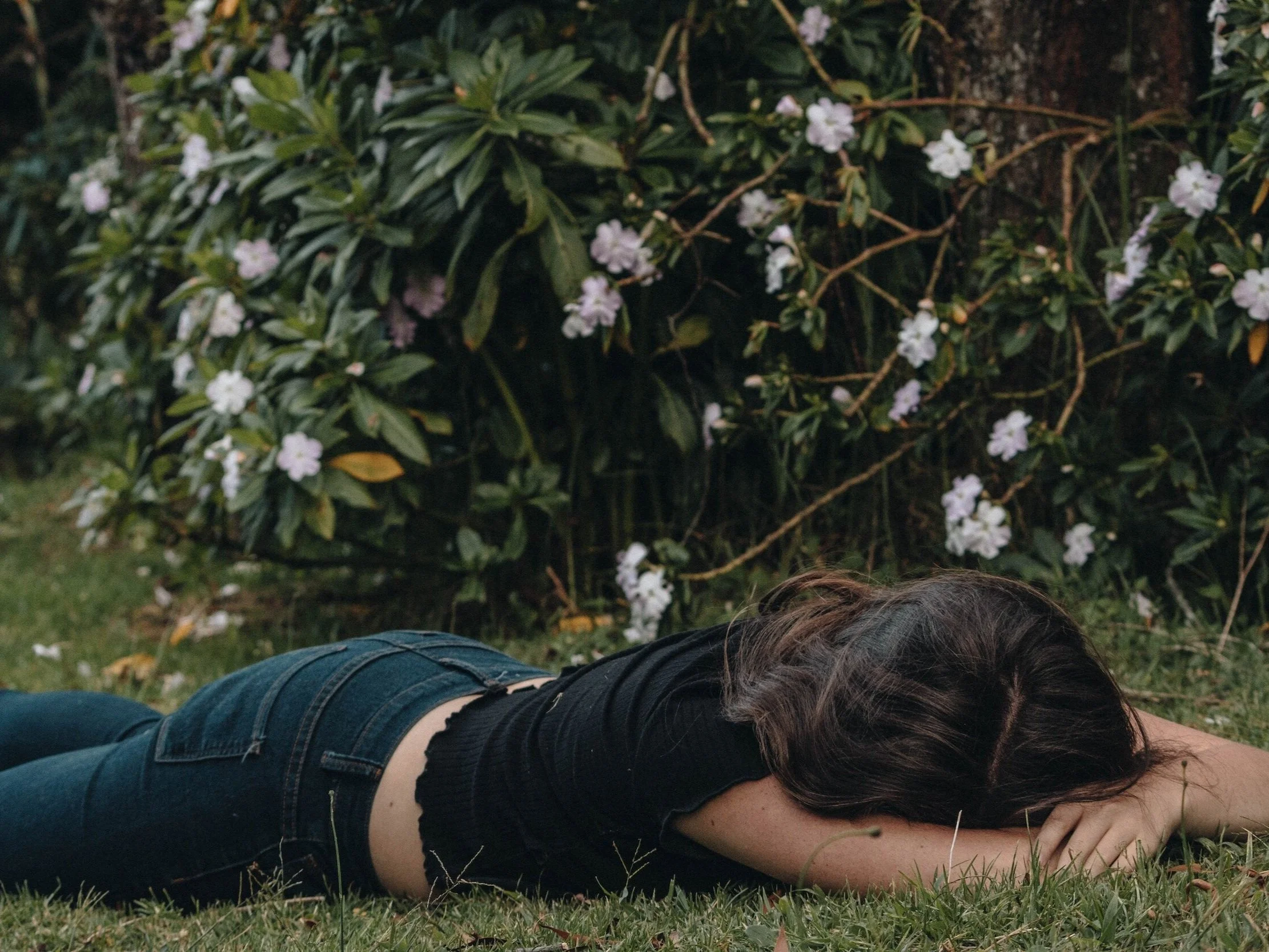 Understanding Fatigue and the Adrenal Building Blocks