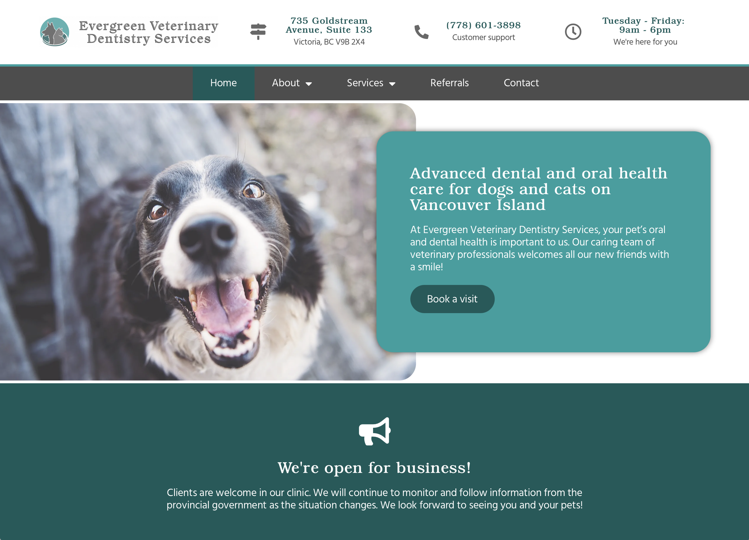 Evergreen Veterinary Dentistry Services