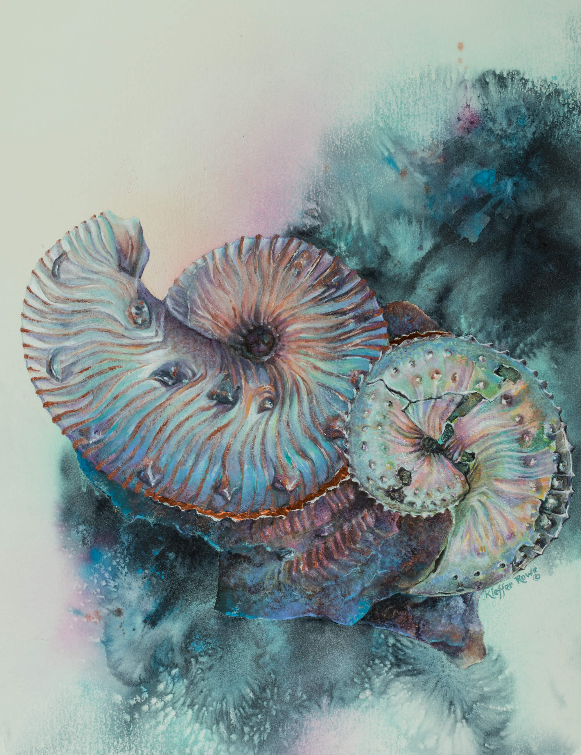 Ammonites—Aquatic Dancing Duo