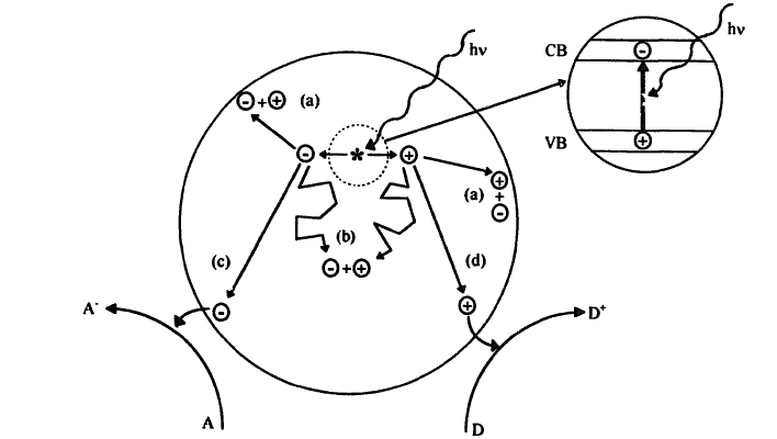 Figure 1: Major processes occurring on a semiconductor system following electronic excitation.