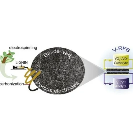 New Publication on Lignin-Derived Electrodes for Redox Flow Batteries