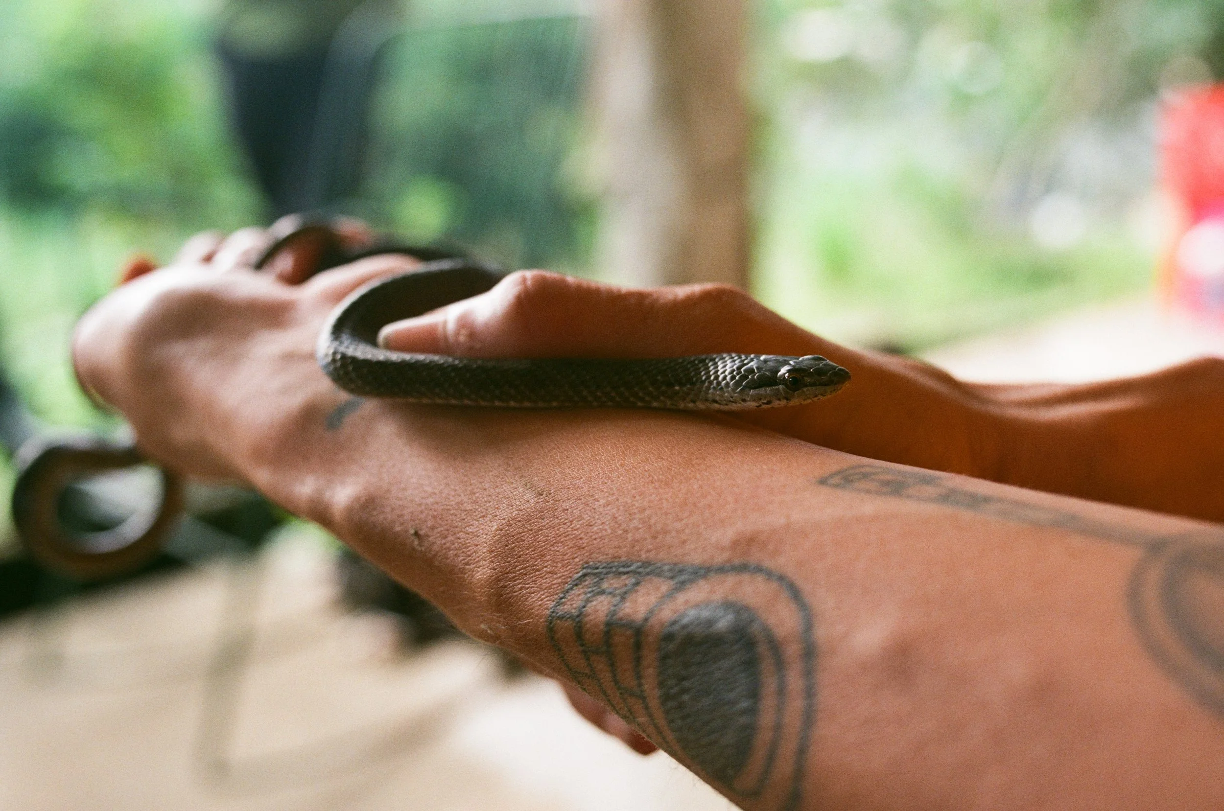 TaraWithSnakeCloser.jpg
