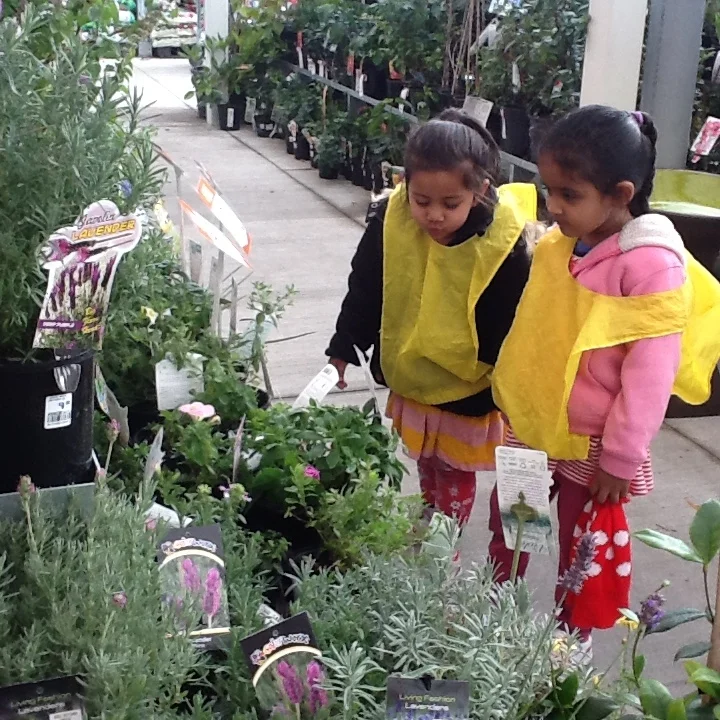 Checking out different plants at Mitre 10.